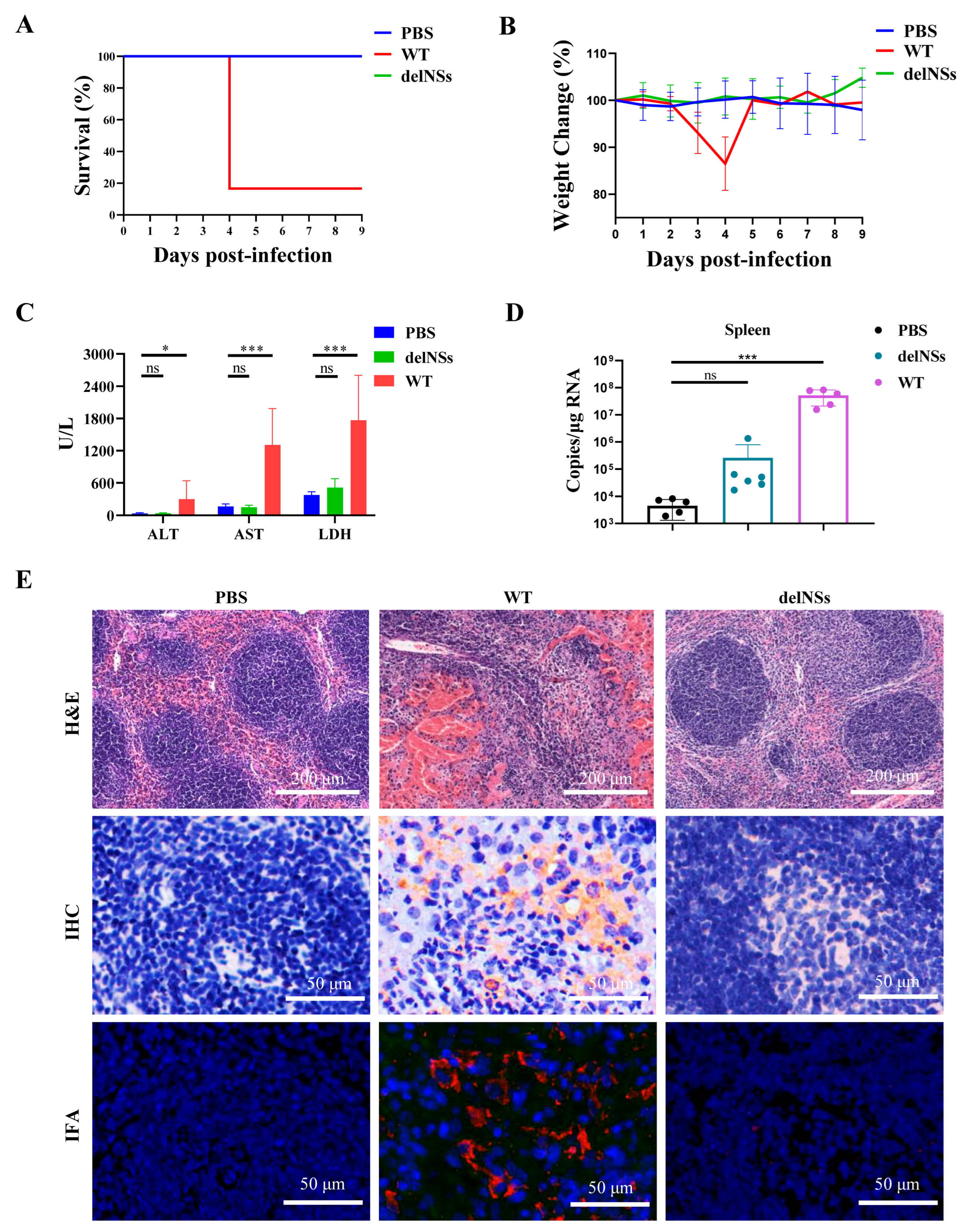 Viruses 15 01147 g005 Viruses 15 01147 g005