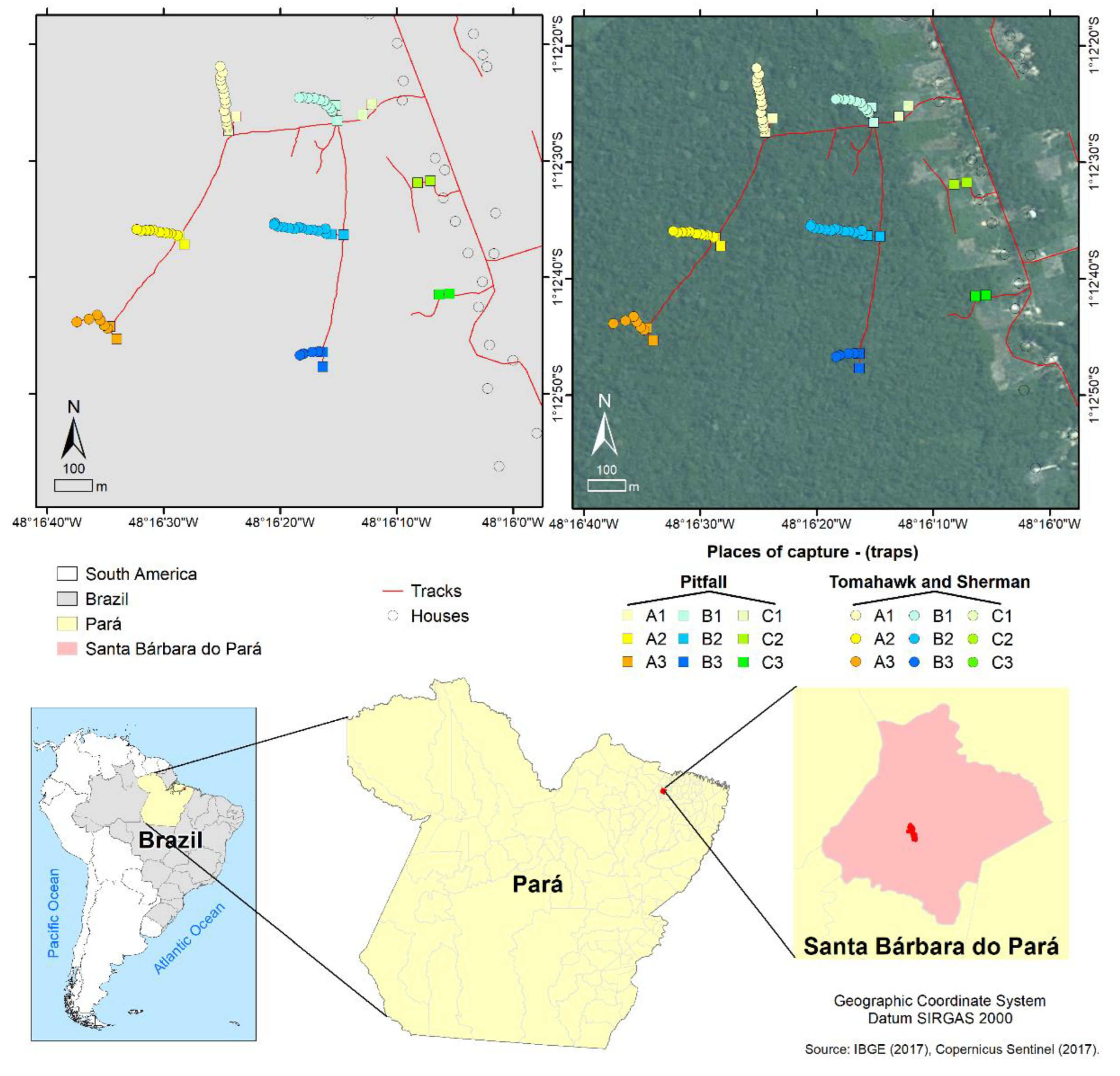 Viruses 15 01150 g001 Viruses 15 01150 g001
