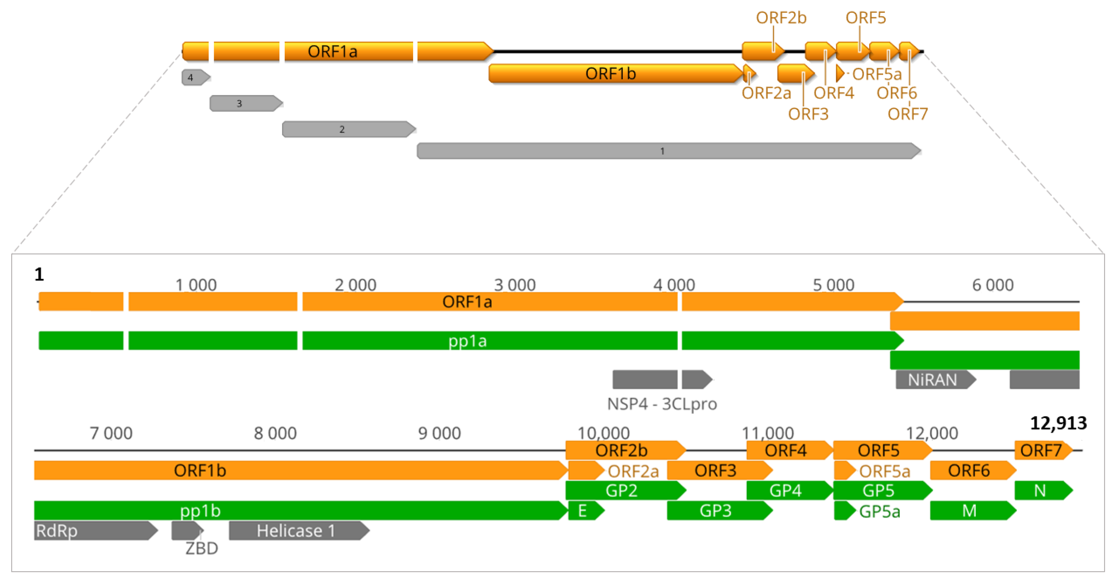 Viruses 15 01150 g002 Viruses 15 01150 g002