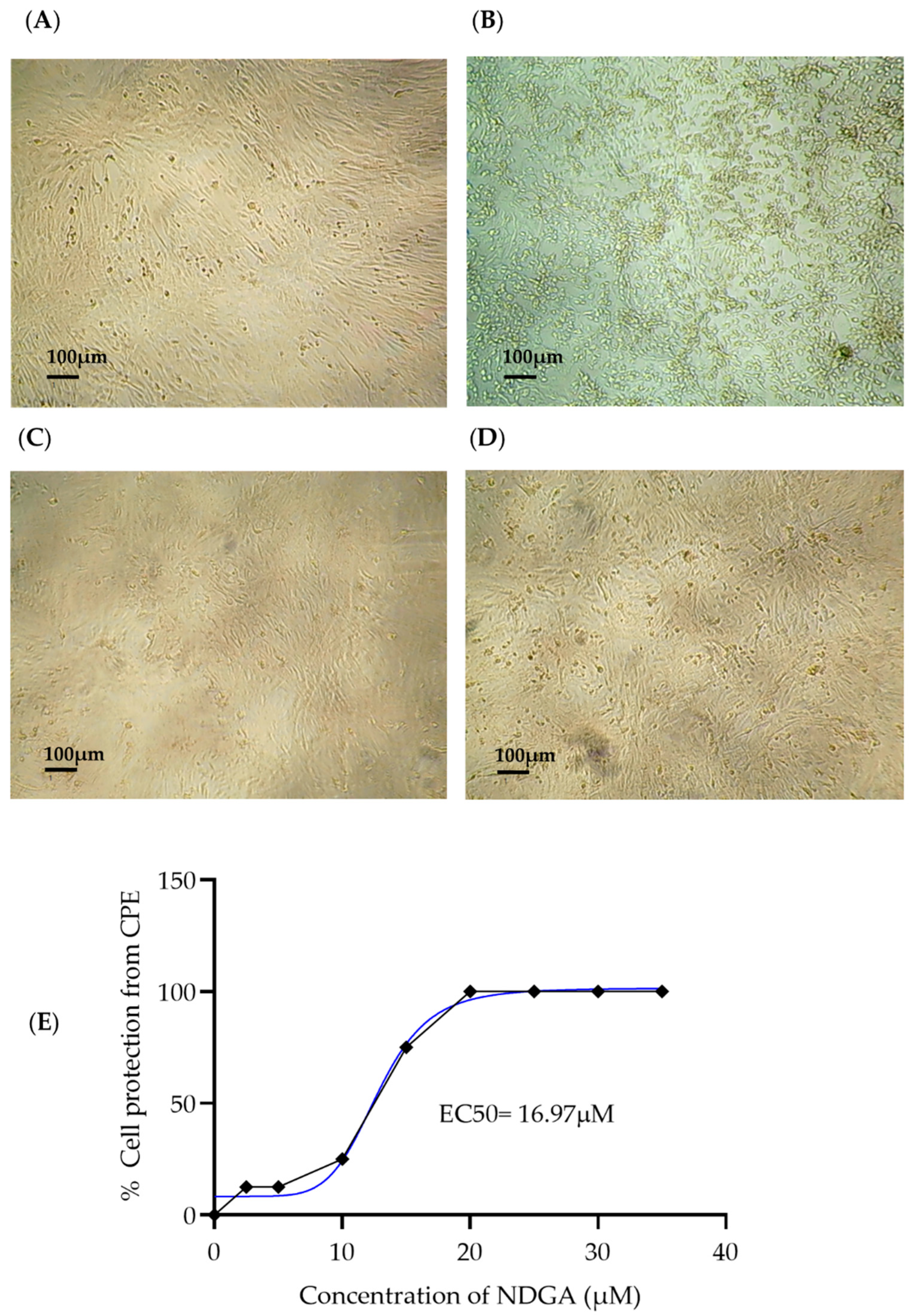 Viruses 15 01155 g002 Viruses 15 01155 g002