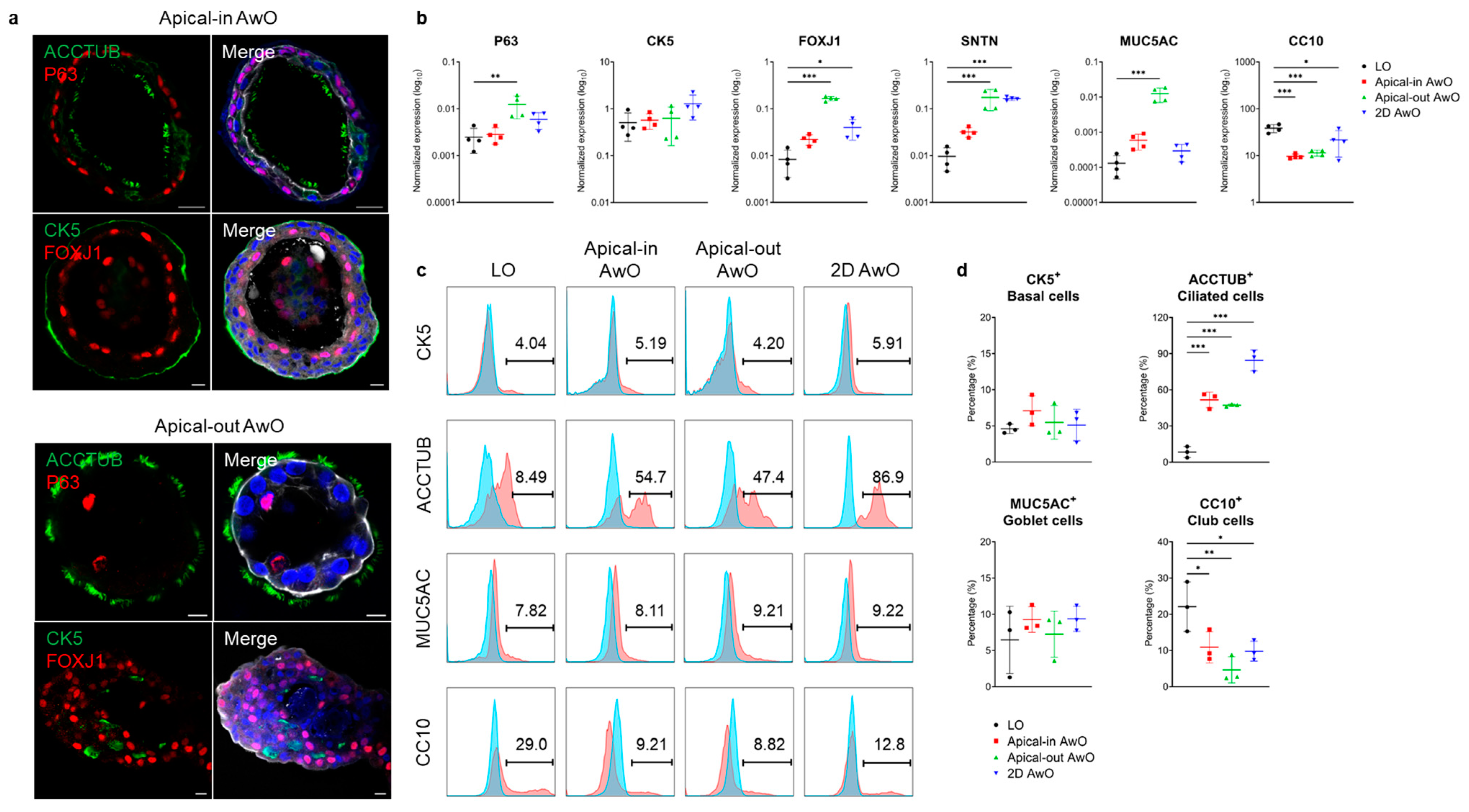 Viruses 15 01166 g002 Viruses 15 01166 g002