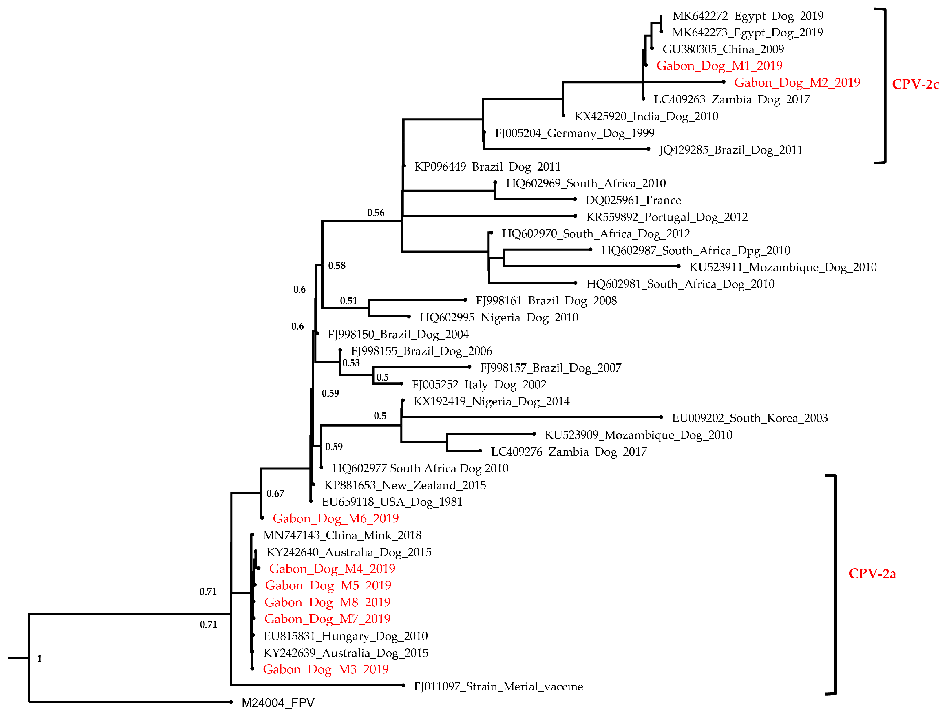Viruses 15 01169 g001 Viruses 15 01169 g001