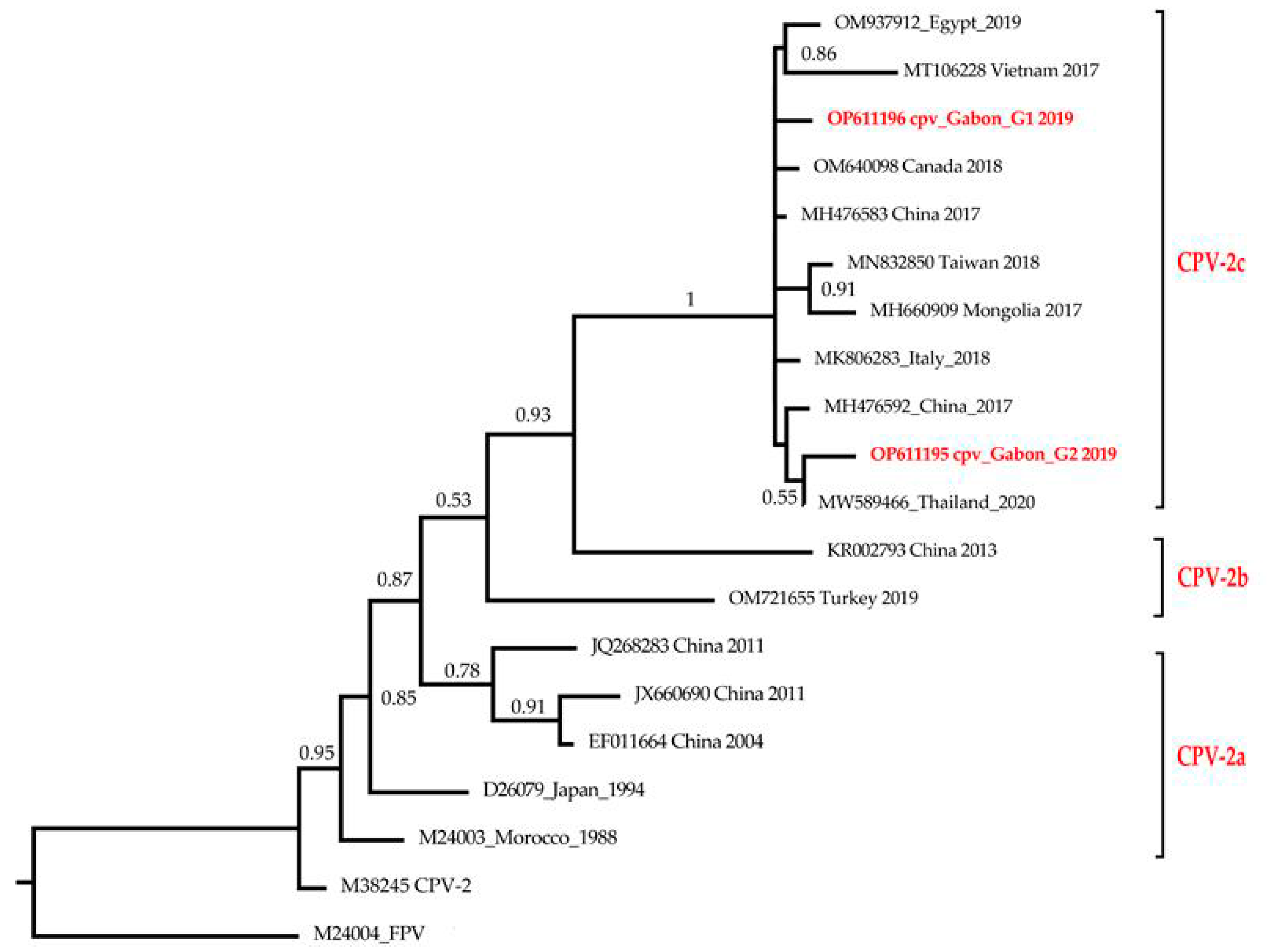 Viruses 15 01169 g002 Viruses 15 01169 g002