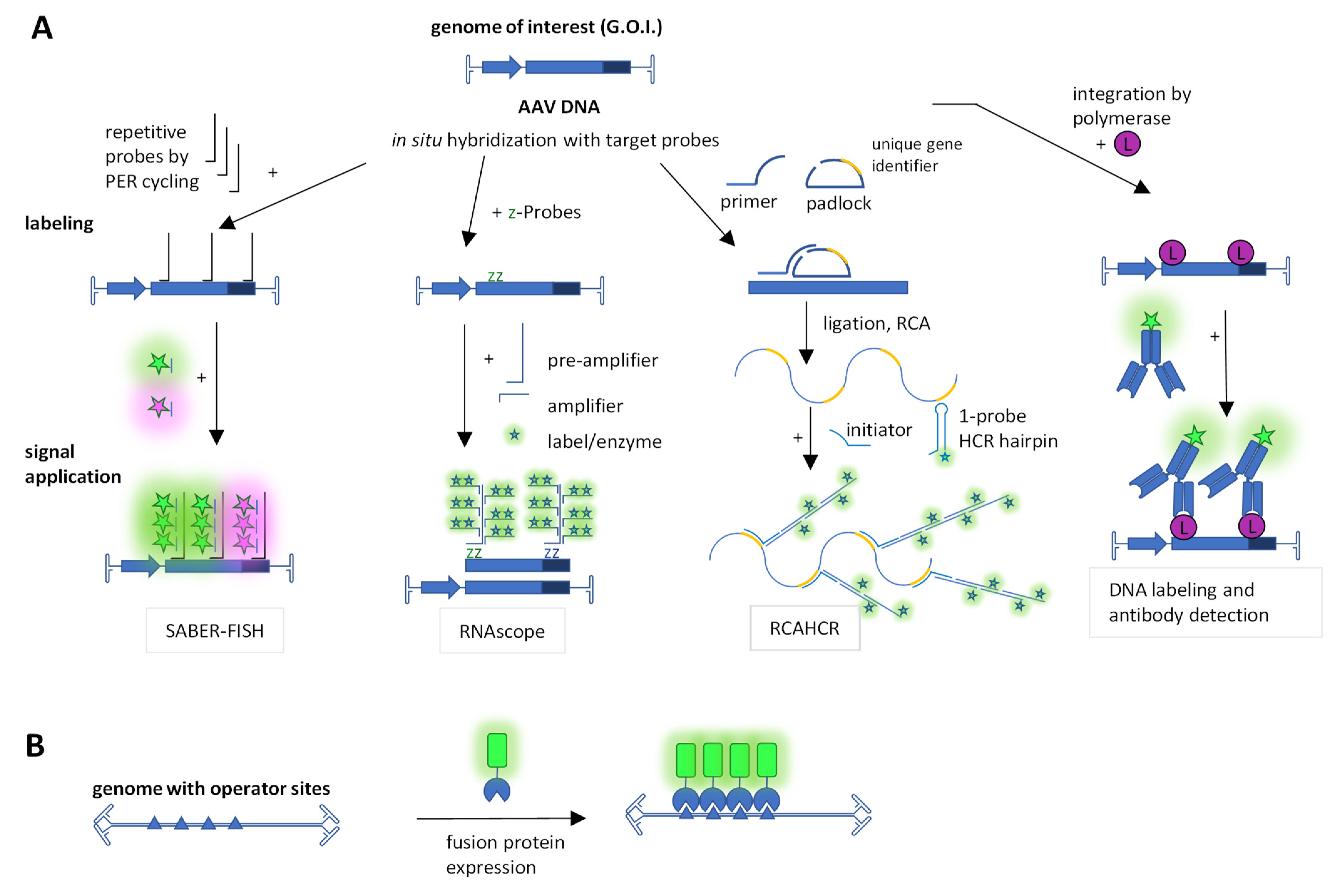 Viruses 15 01174 g002 Viruses 15 01174 g002