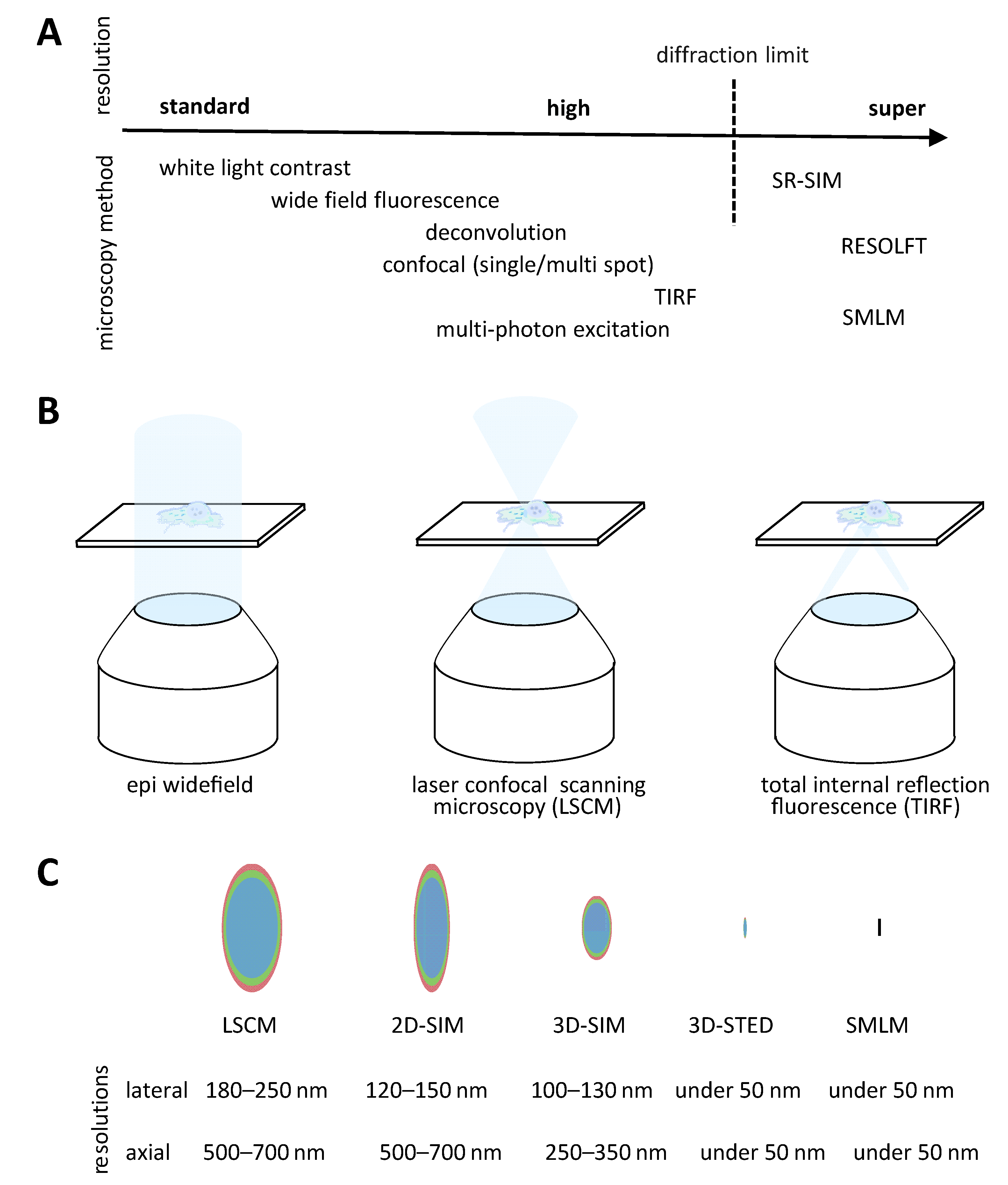 Viruses 15 01174 g003 Viruses 15 01174 g003