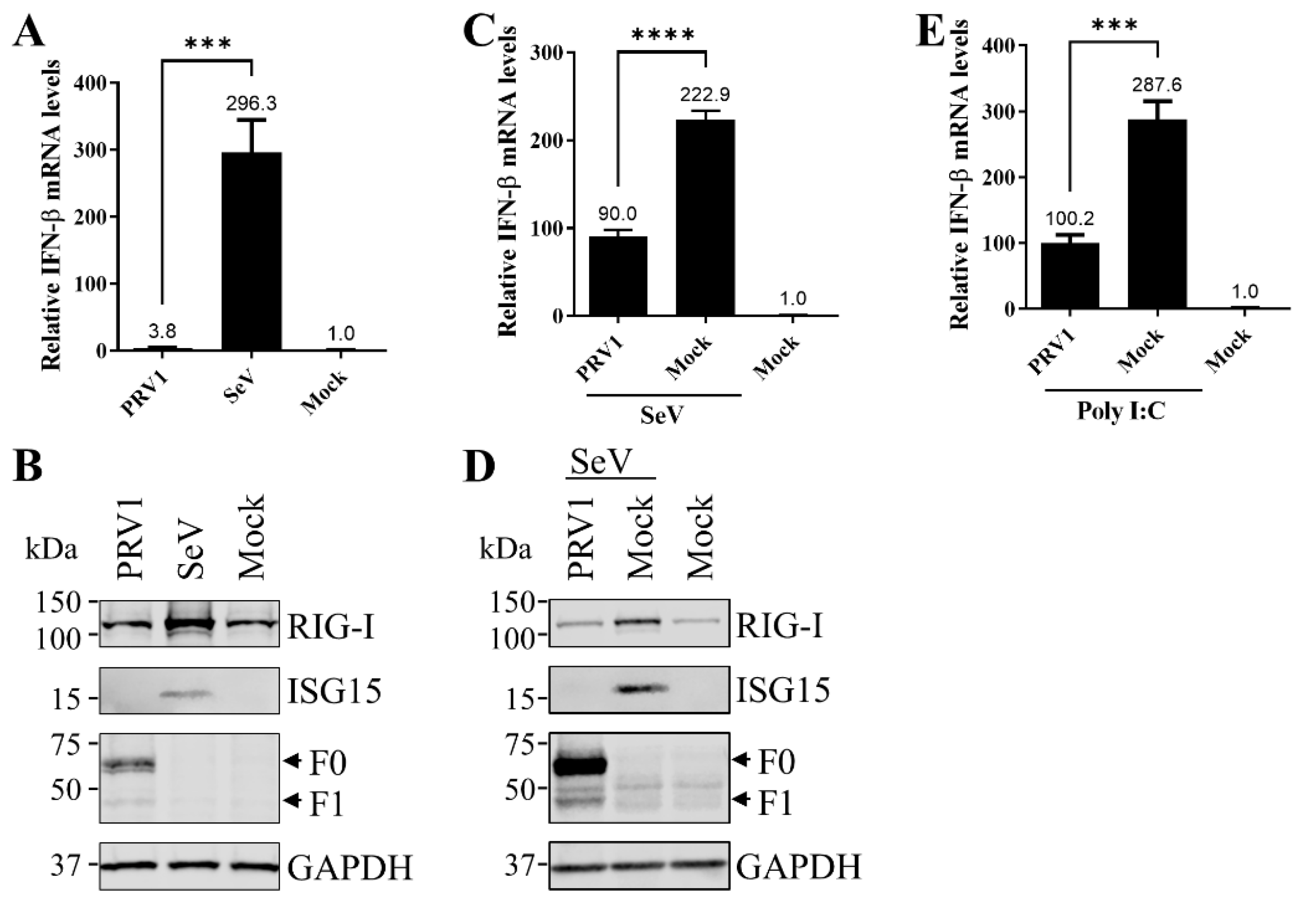 Viruses 15 01176 g001 Viruses 15 01176 g001