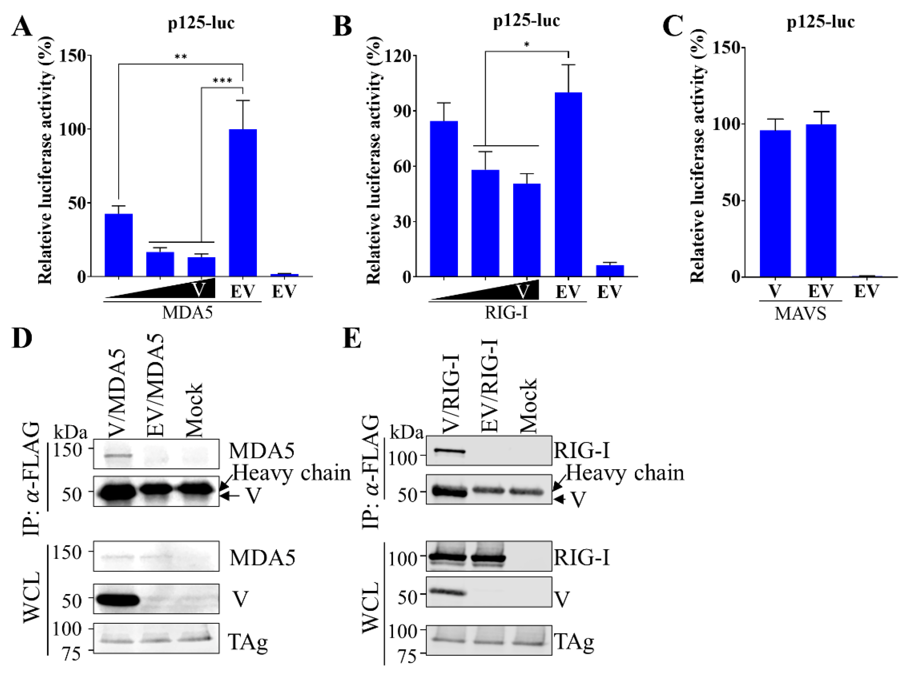 Viruses 15 01176 g003 Viruses 15 01176 g003