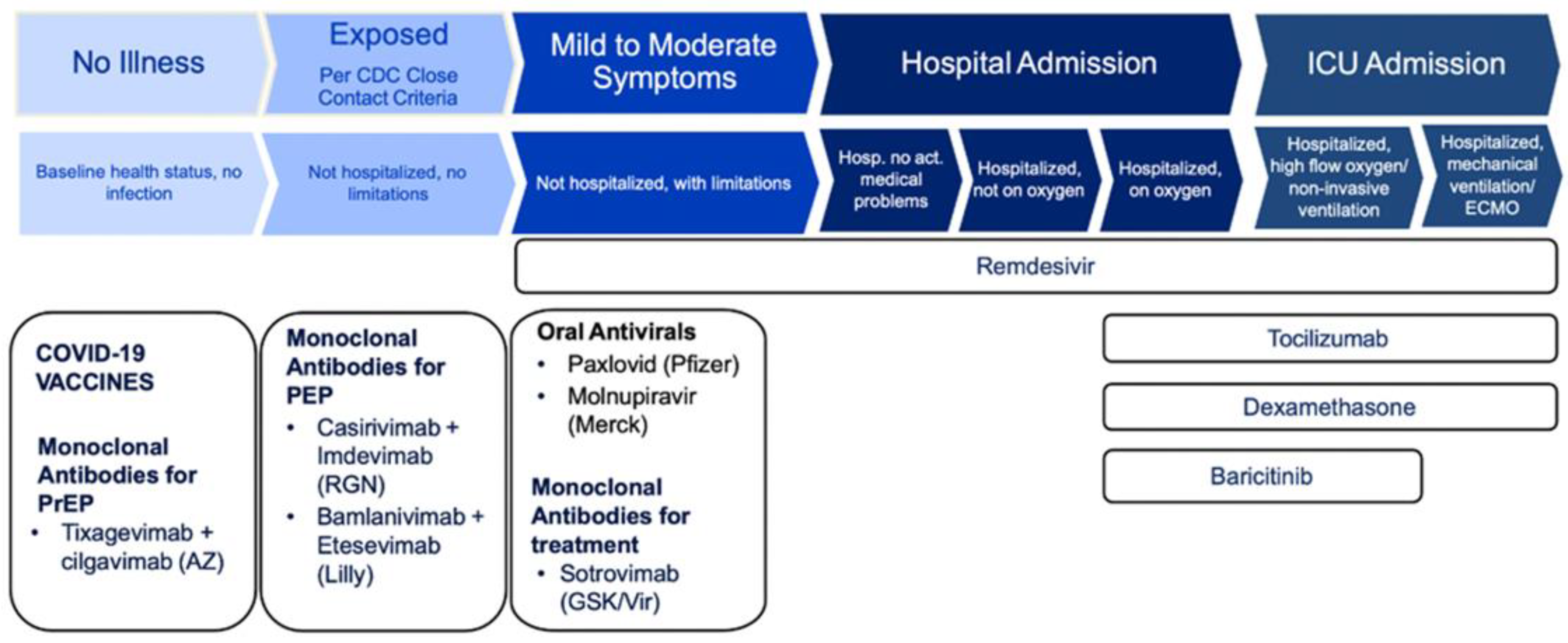 Viruses 15 01181 g001
