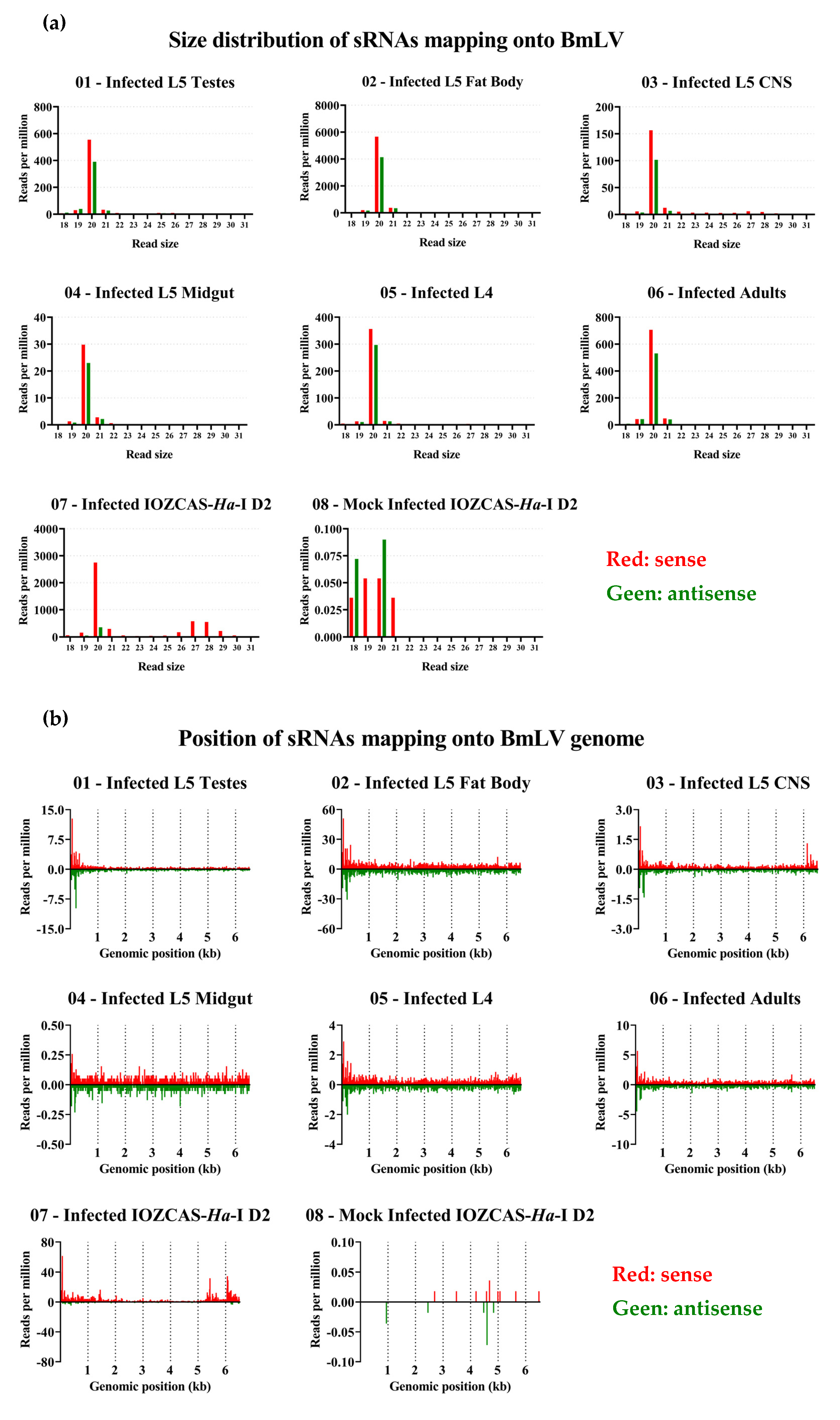 Viruses 15 01183 g008 Viruses 15 01183 g008