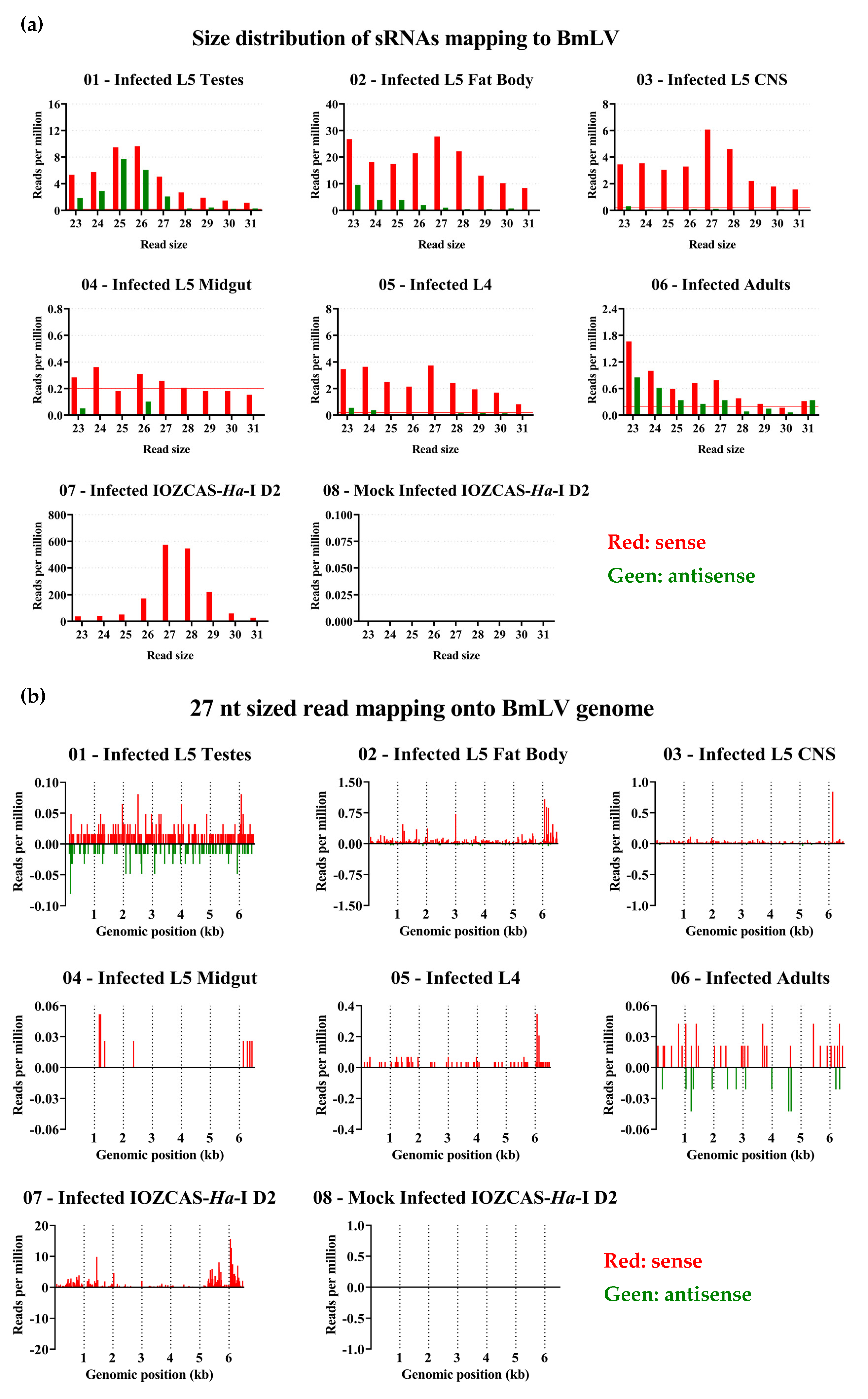 Viruses 15 01183 g009 Viruses 15 01183 g009