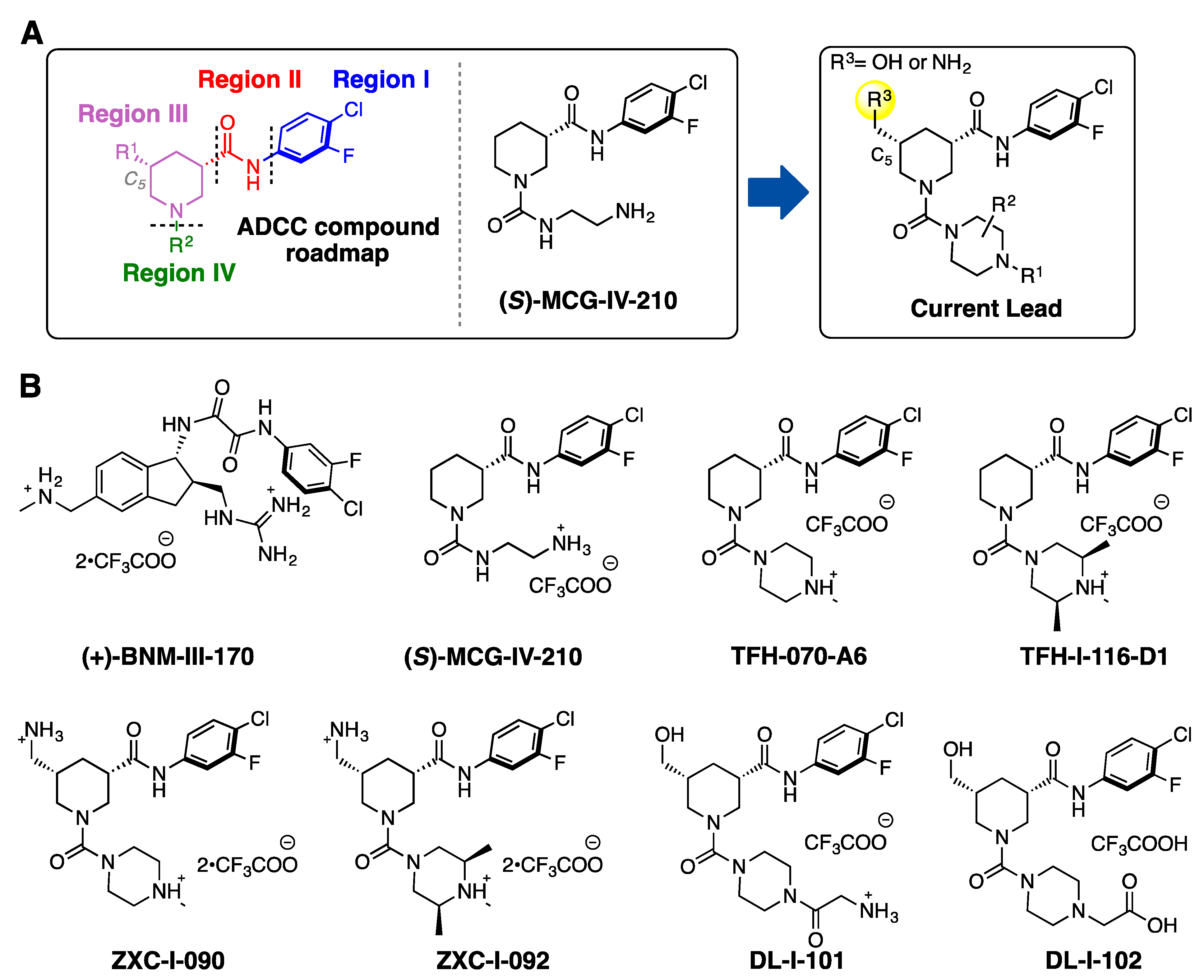 Viruses 15 01185 g001 Viruses 15 01185 g001