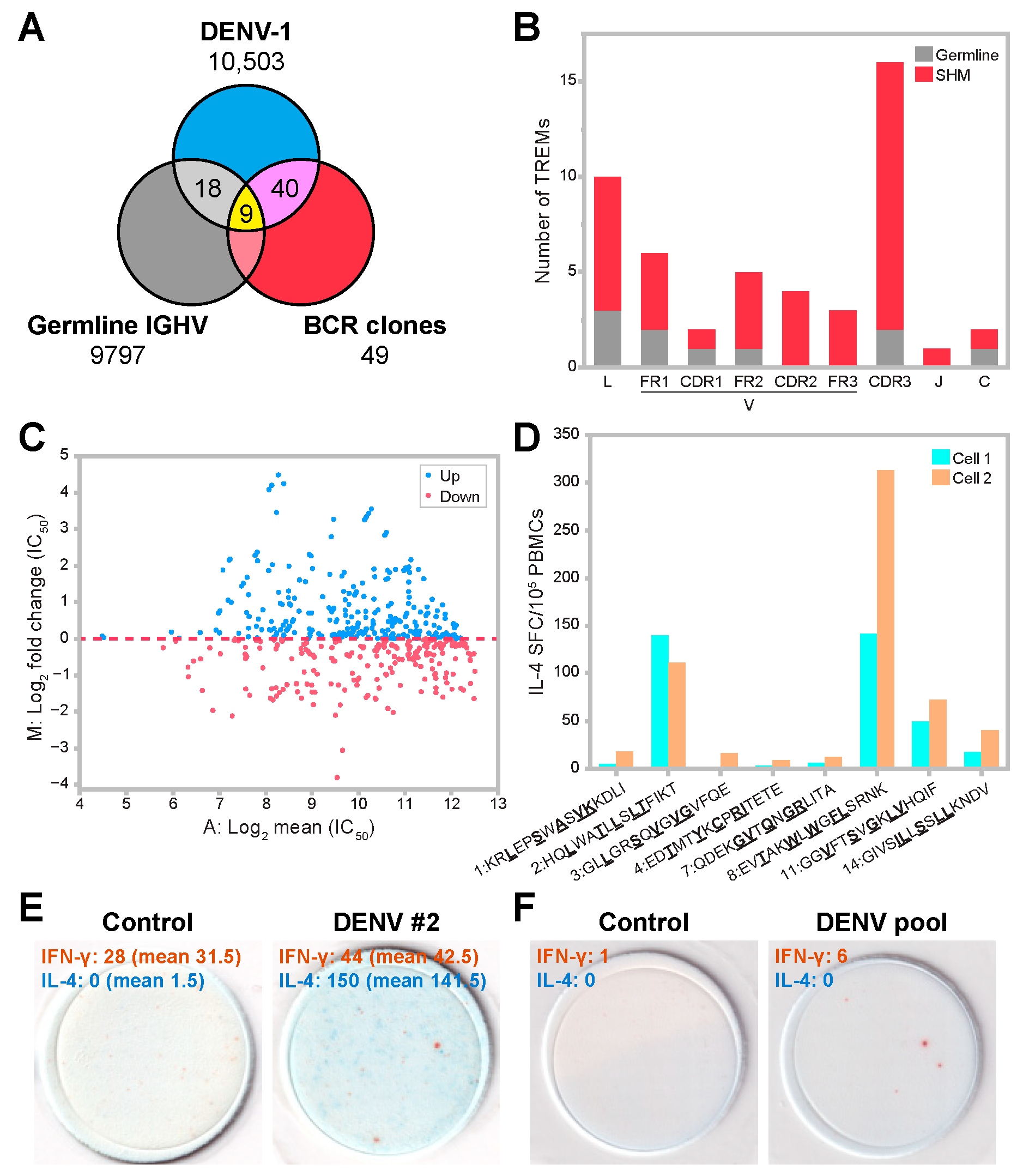 Viruses 15 01186 g006 Viruses 15 01186 g006