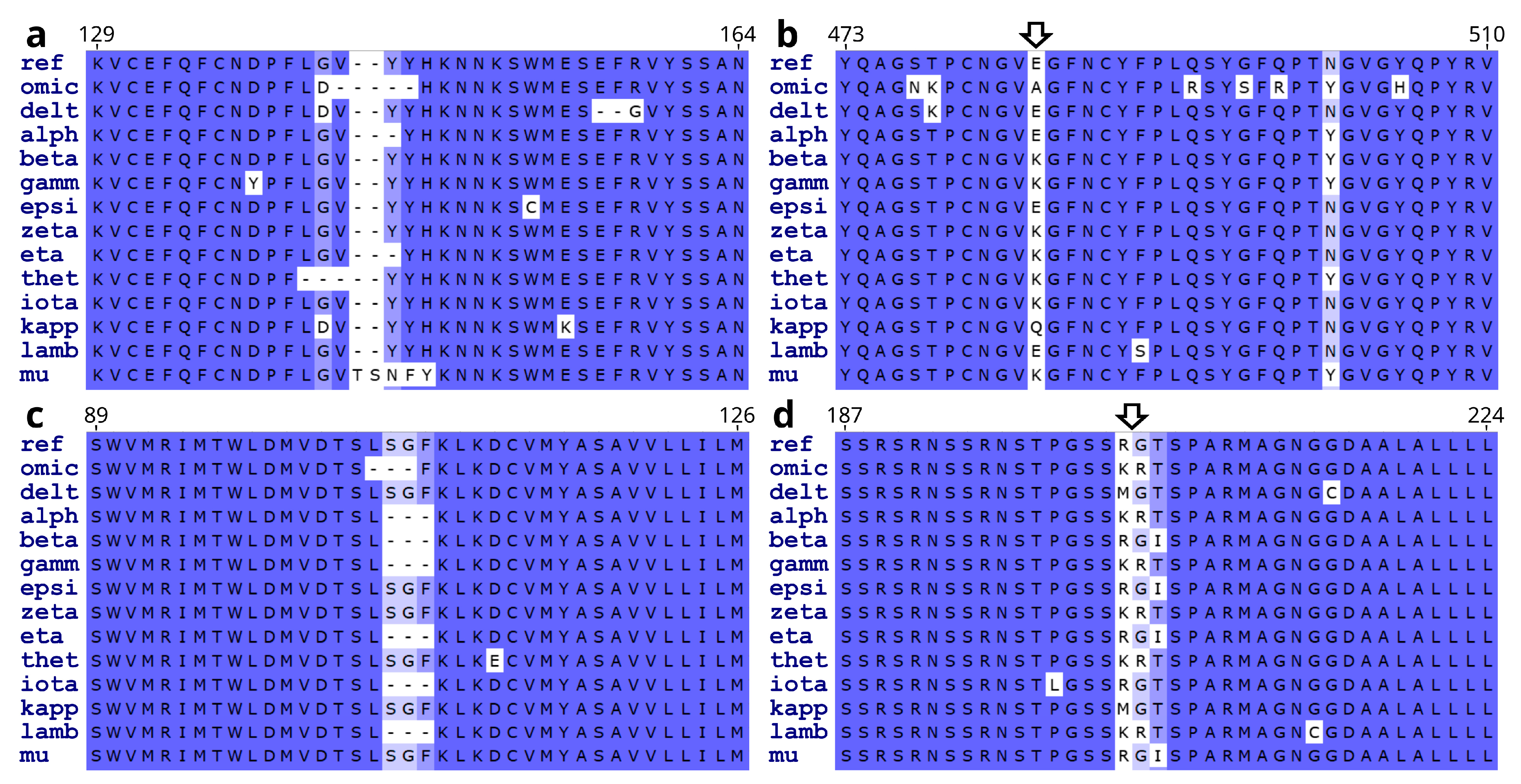 Viruses 15 01193 g003 Viruses 15 01193 g003