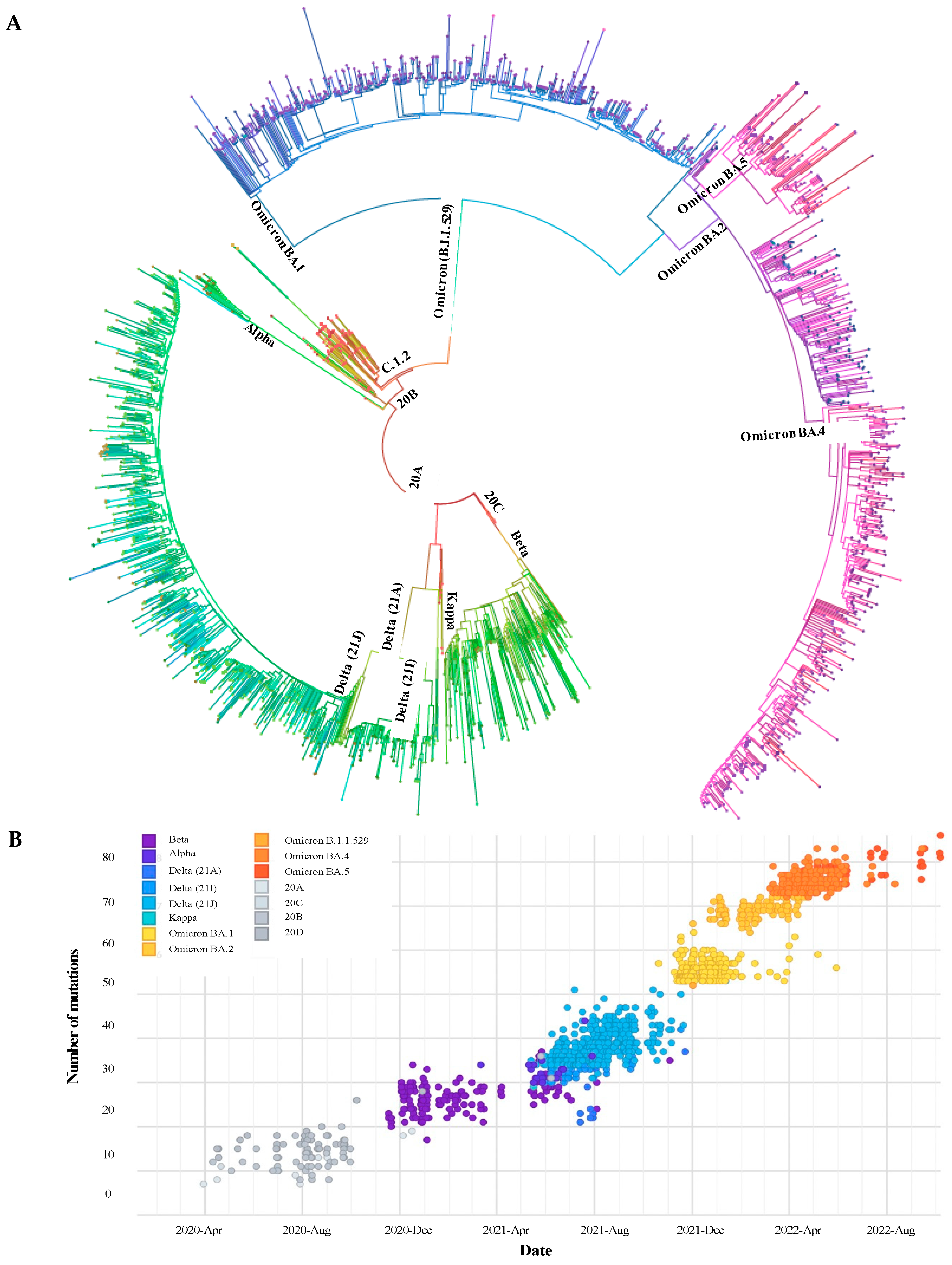 Viruses 15 01194 g002 Viruses 15 01194 g002