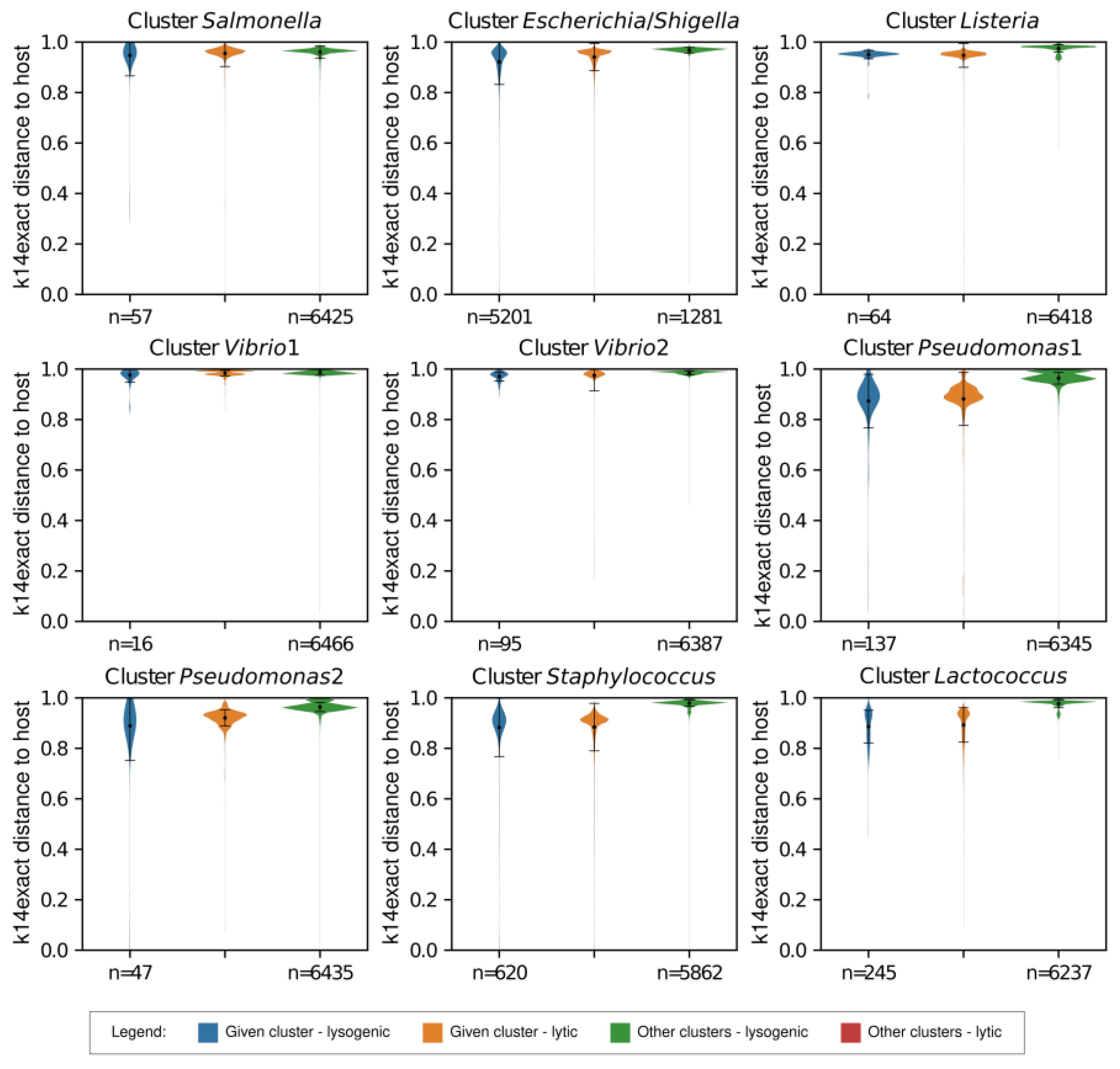 Viruses 15 01196 g005 Viruses 15 01196 g005