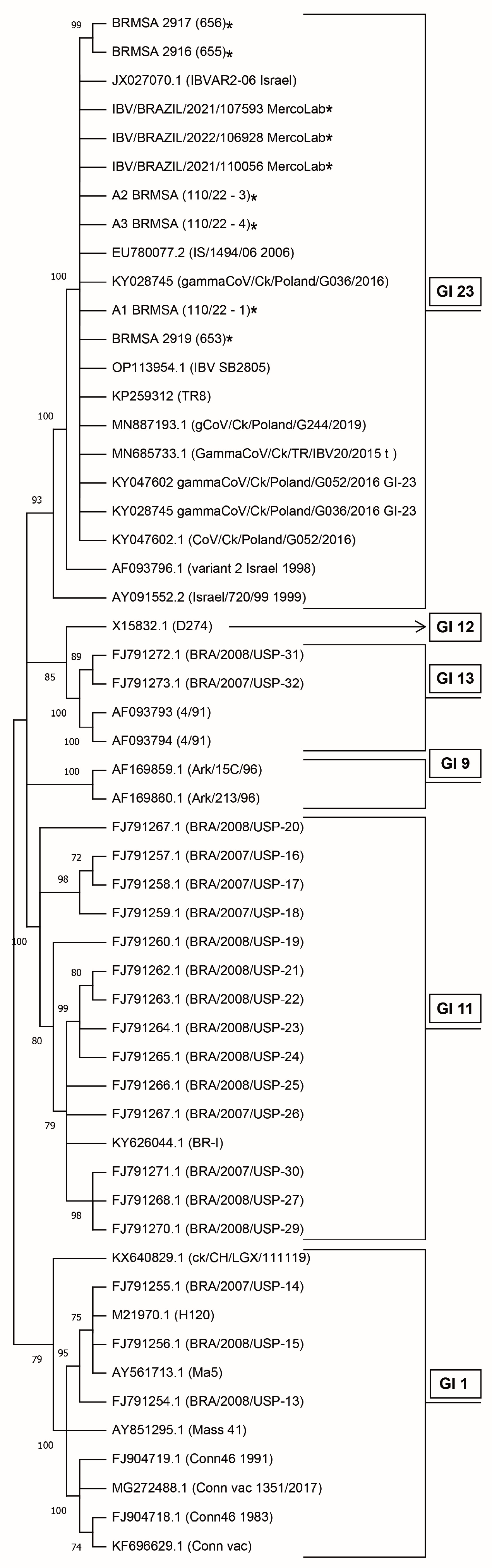 Viruses 15 01200 g001 Viruses 15 01200 g001