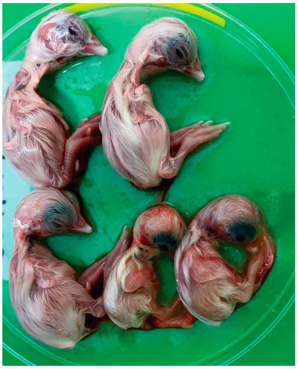 Viruses 15 01200 g002 Viruses 15 01200 g002