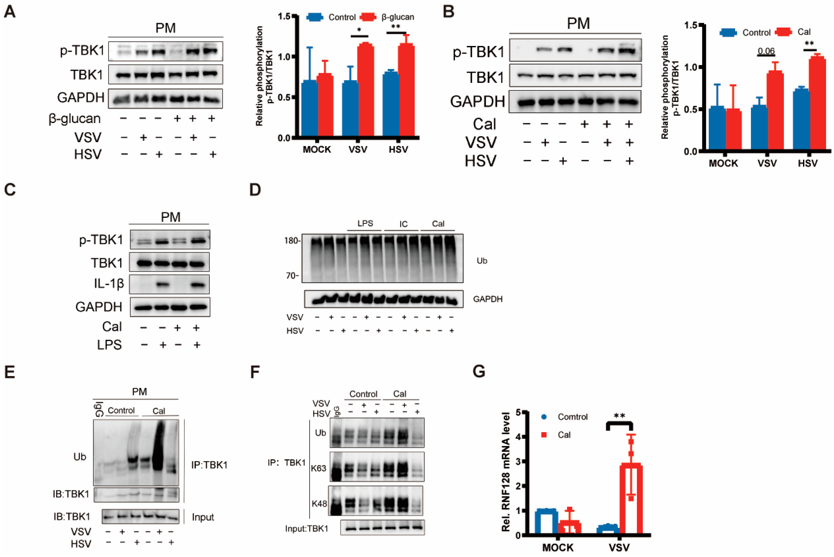 Viruses 15 01204 g003
