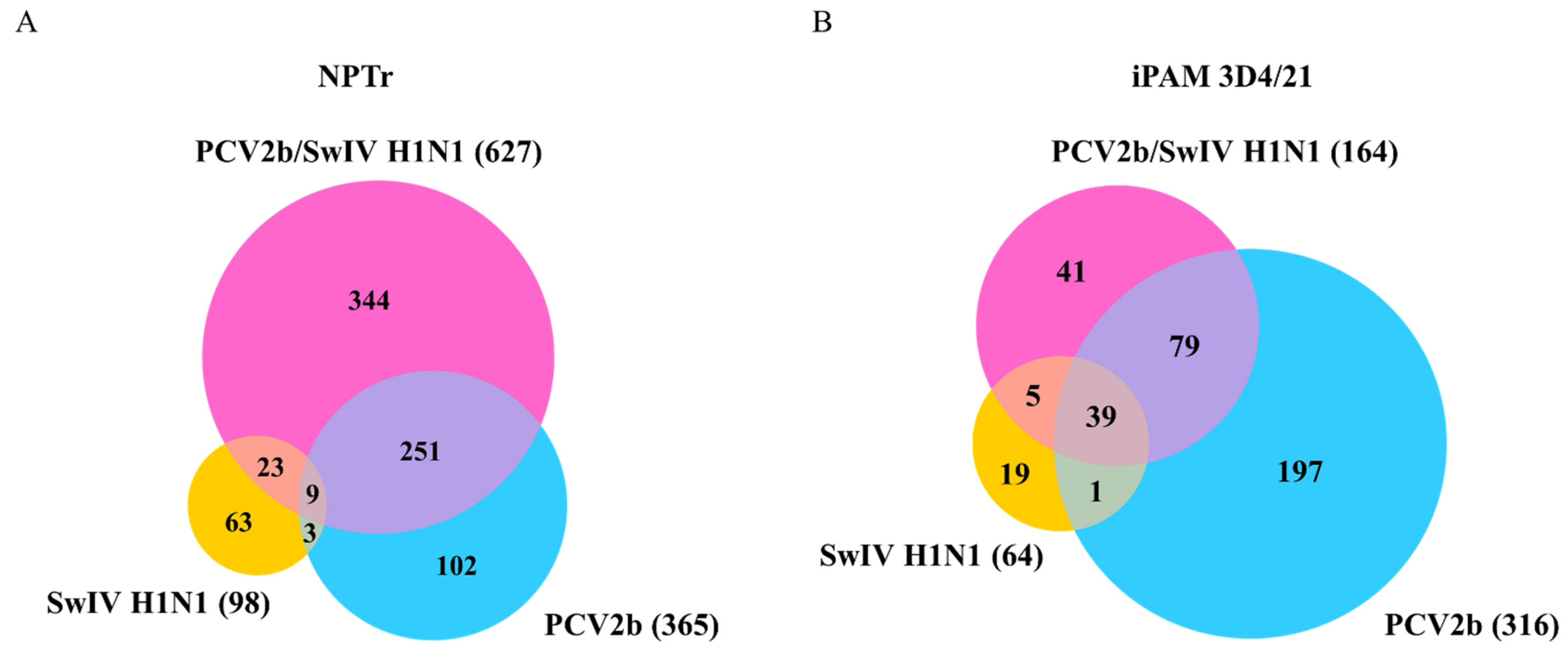 Viruses 15 01207 g006