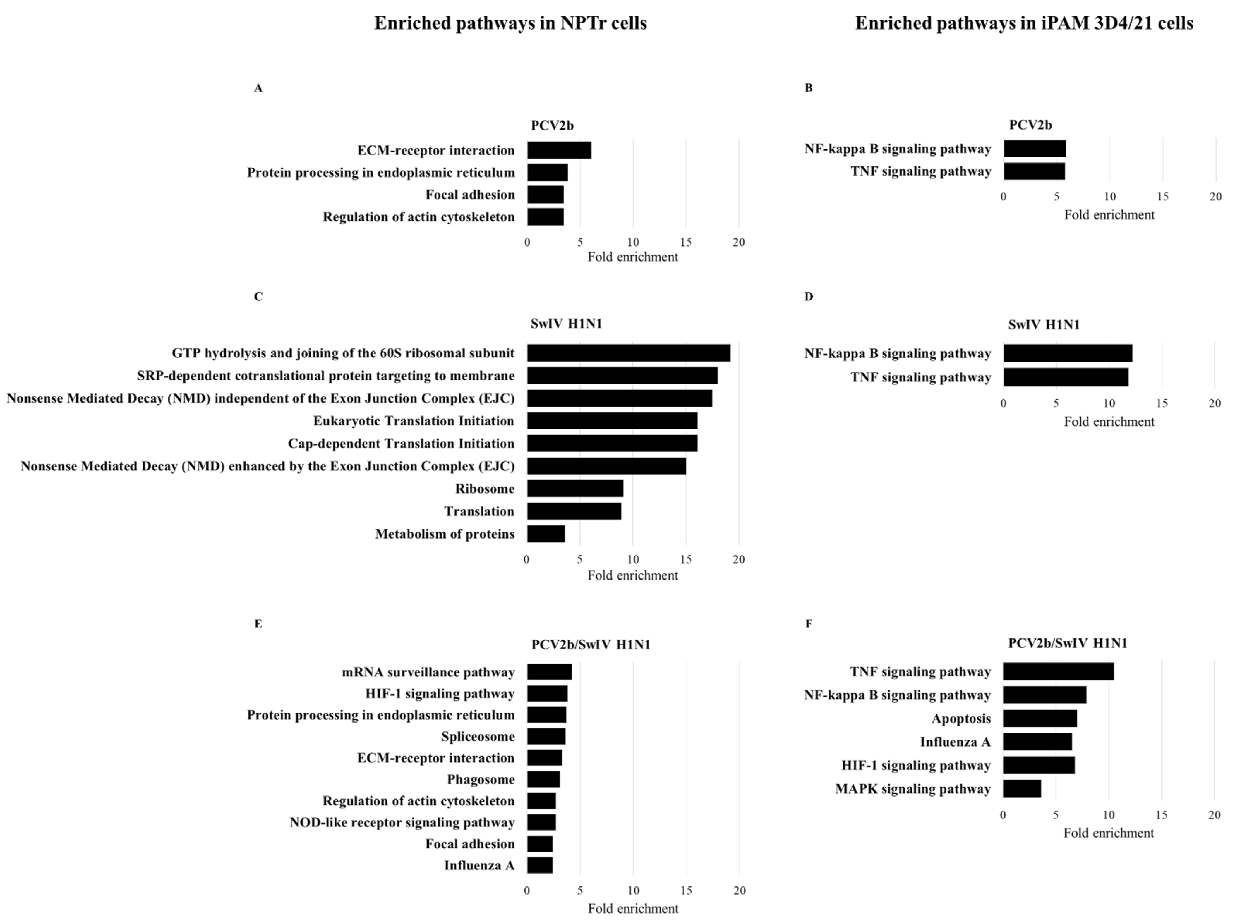 Viruses 15 01207 g007