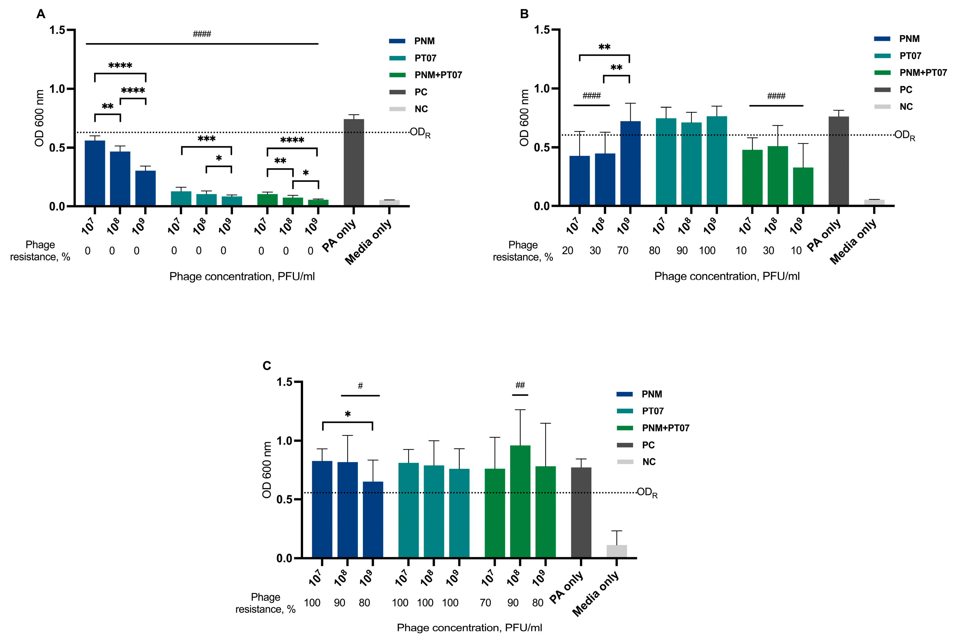 Viruses 15 01210 g004