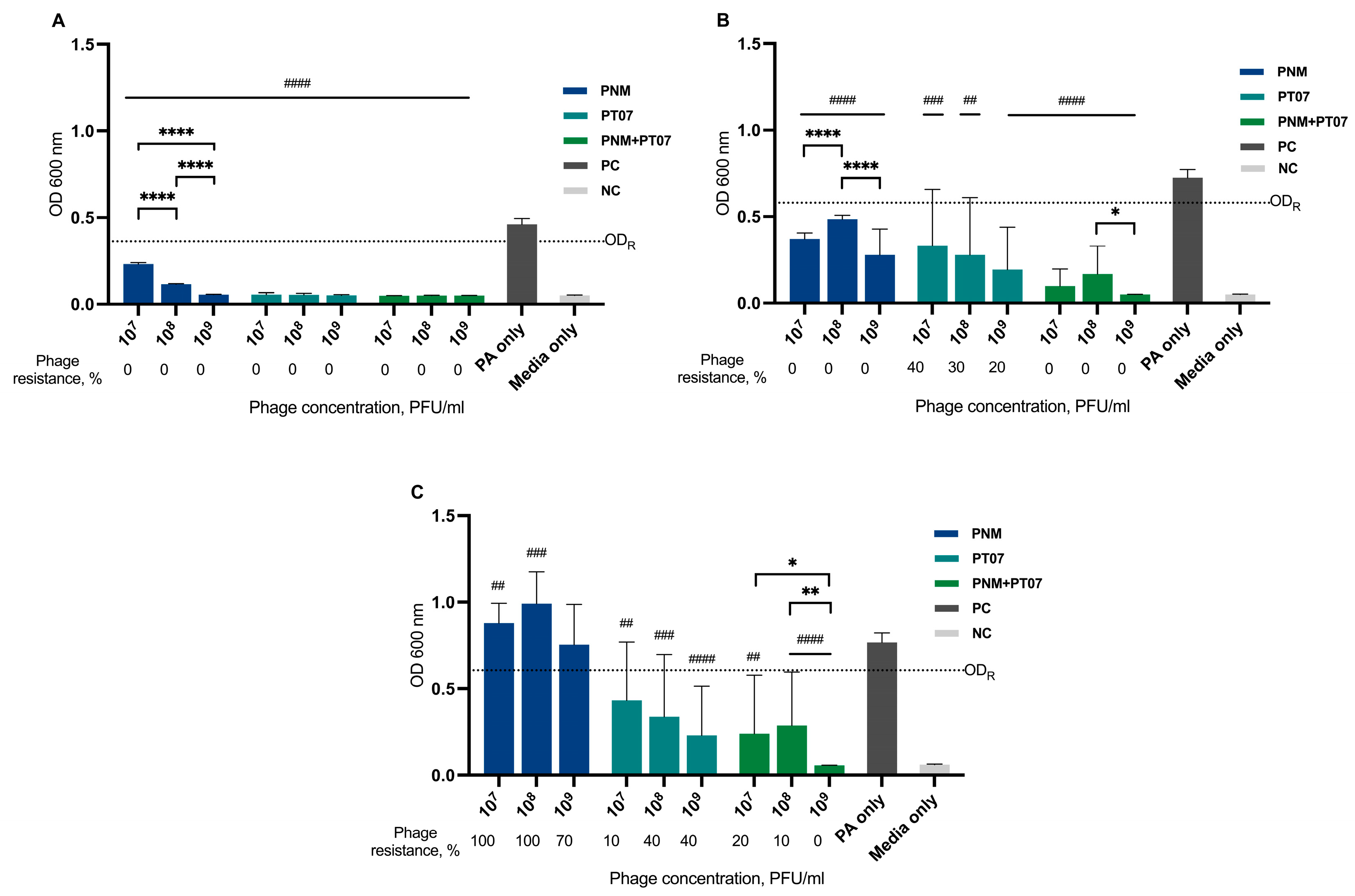 Viruses 15 01210 g005