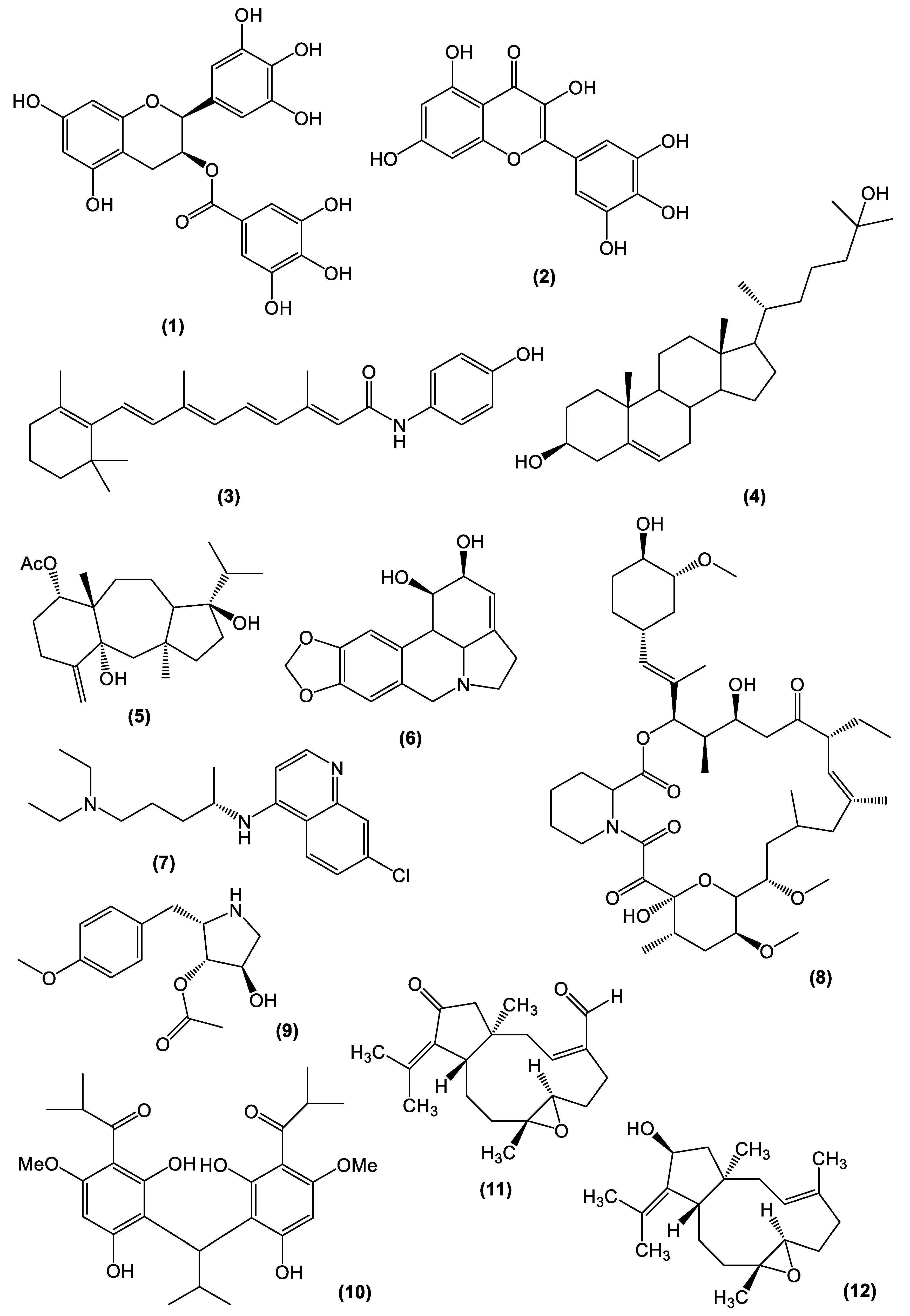 Viruses 15 01211 g002