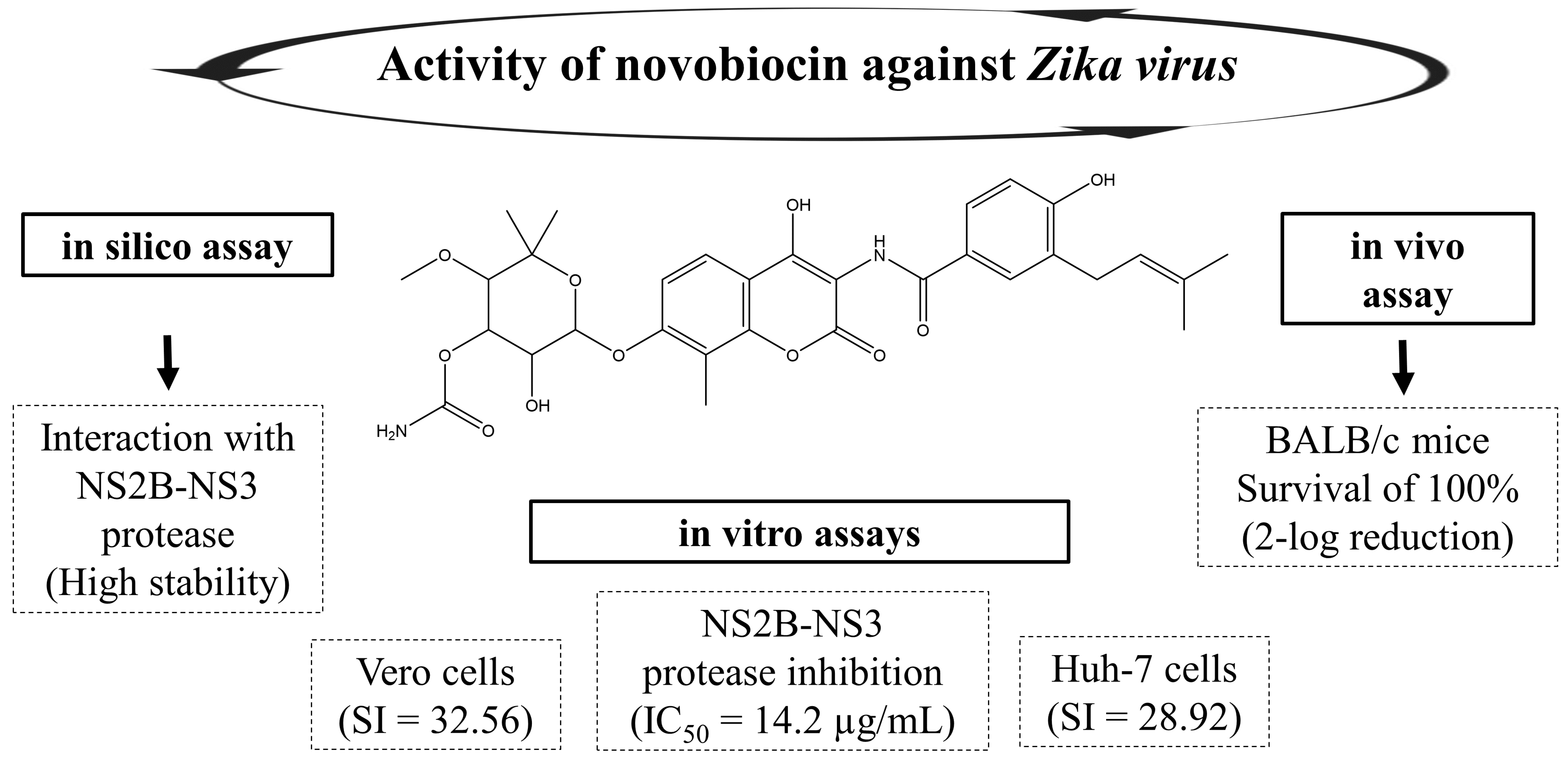 Viruses 15 01211 g003