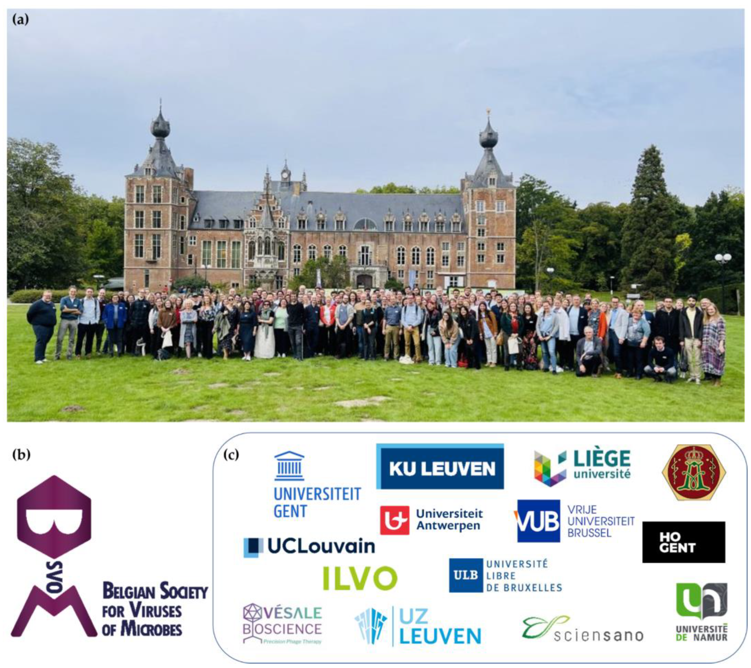 Viruses 15 01213 g002 Viruses 15 01213 g002