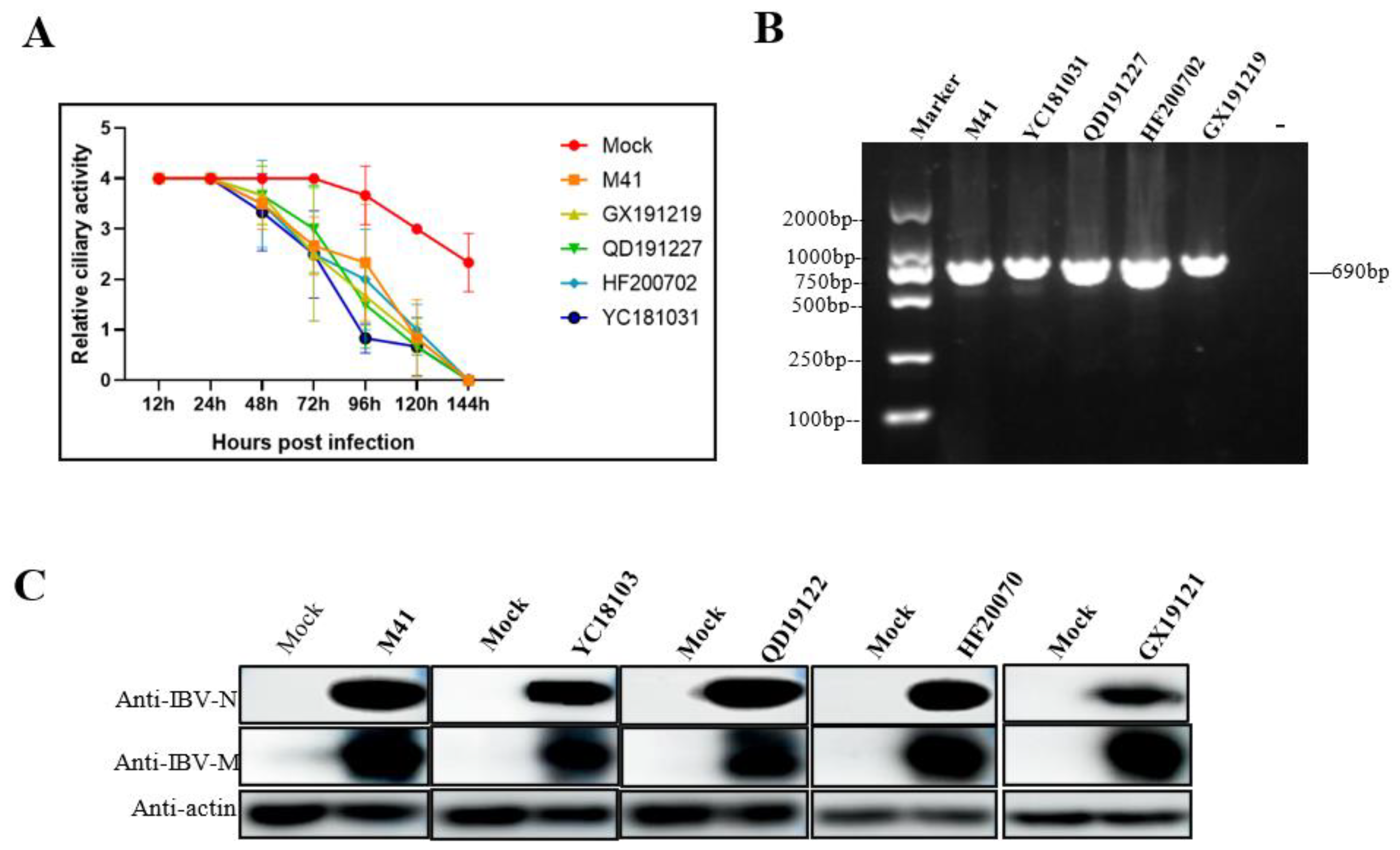 Viruses 15 01216 g001