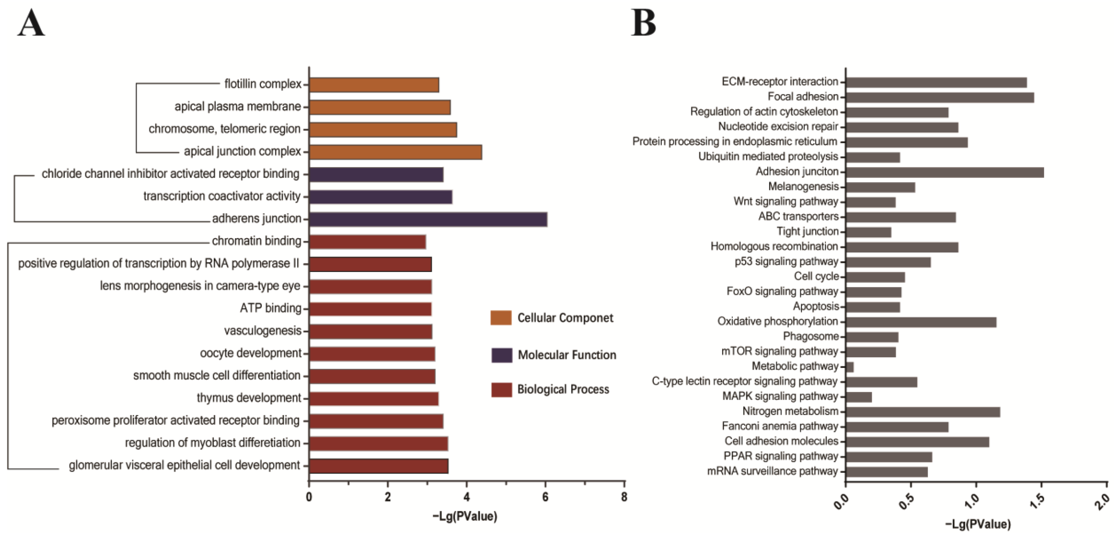 Viruses 15 01216 g004