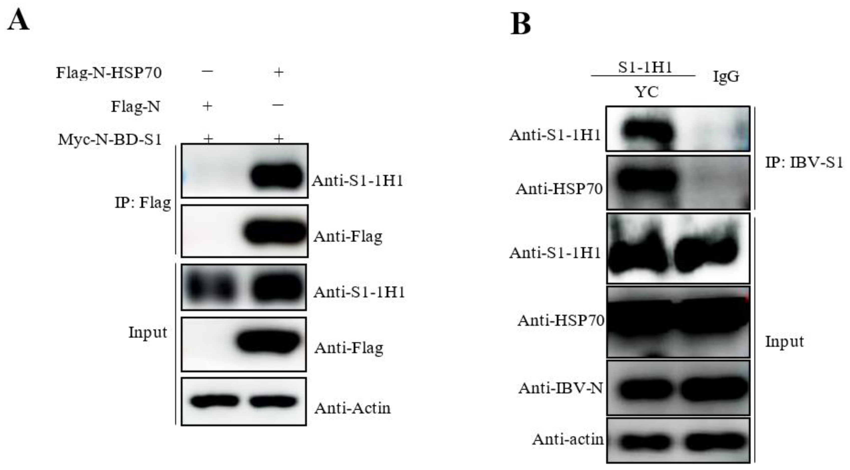 Viruses 15 01216 g005