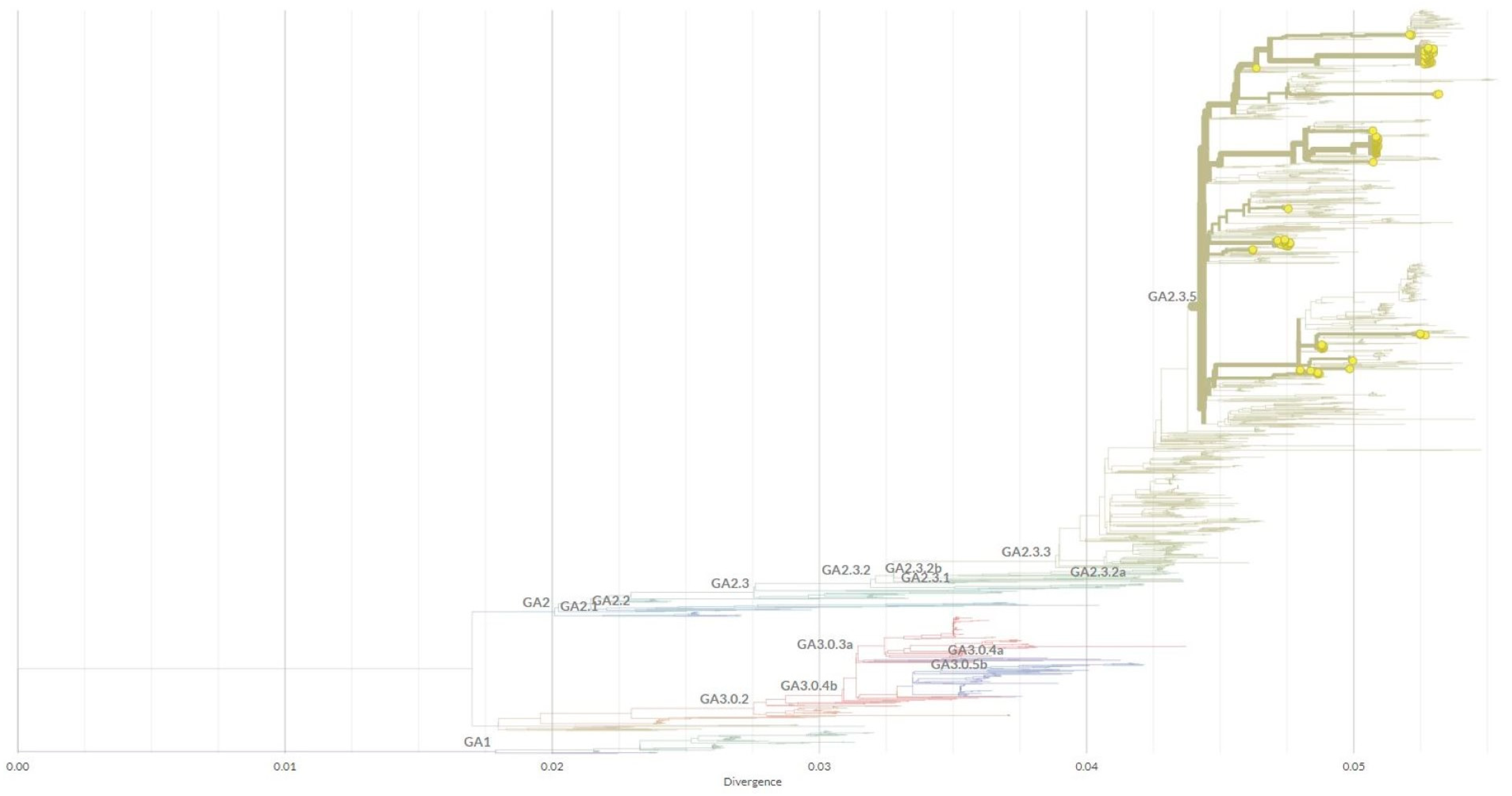 Viruses 15 01218 g004 Viruses 15 01218 g004