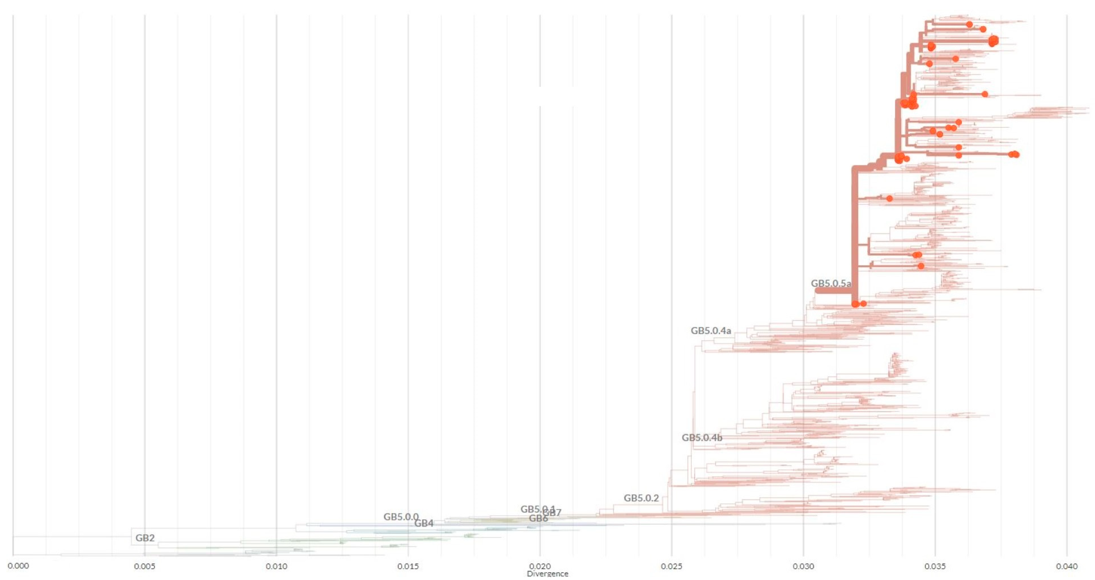 Viruses 15 01218 g005 Viruses 15 01218 g005