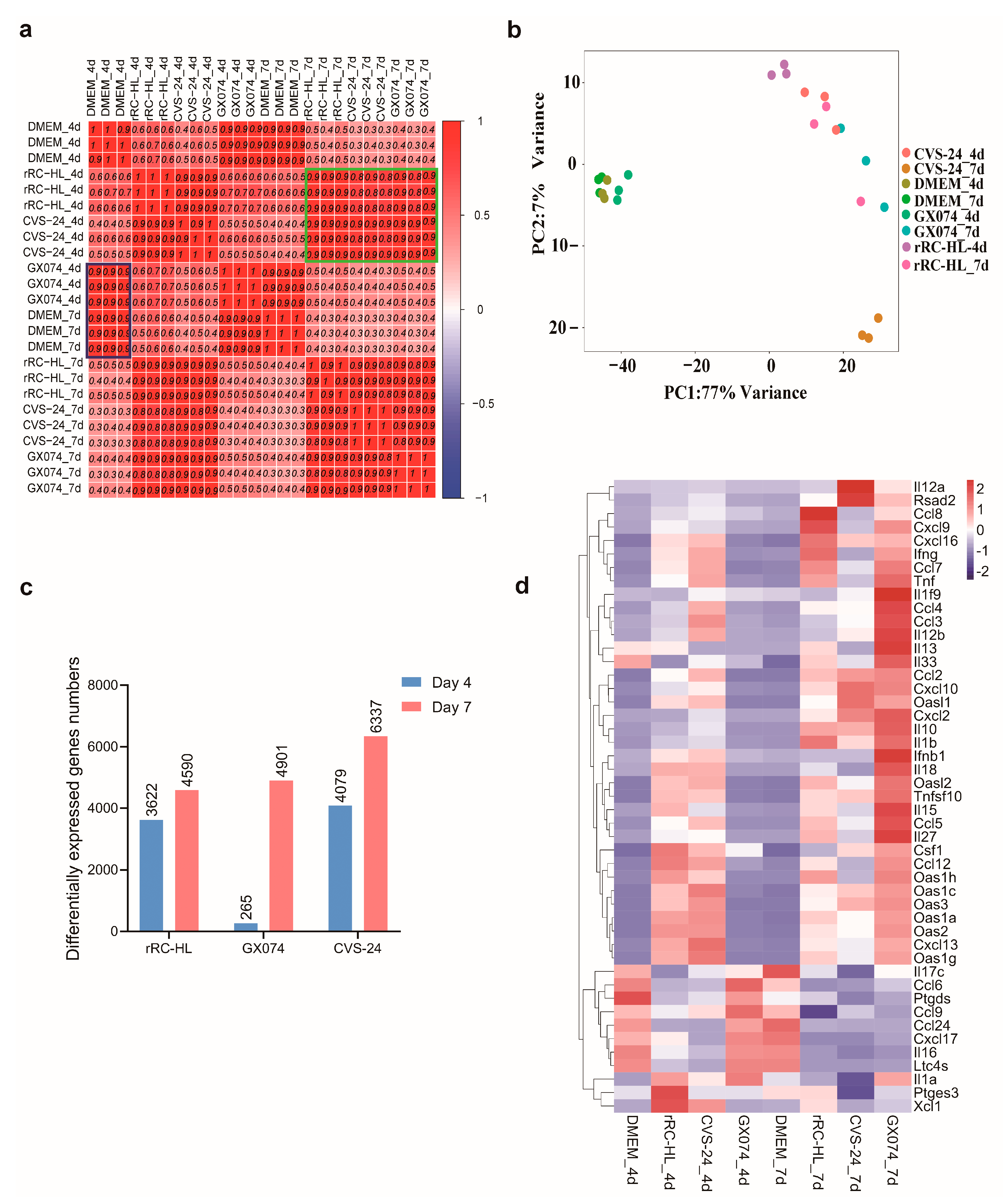 Viruses 15 01223 g002 Viruses 15 01223 g002