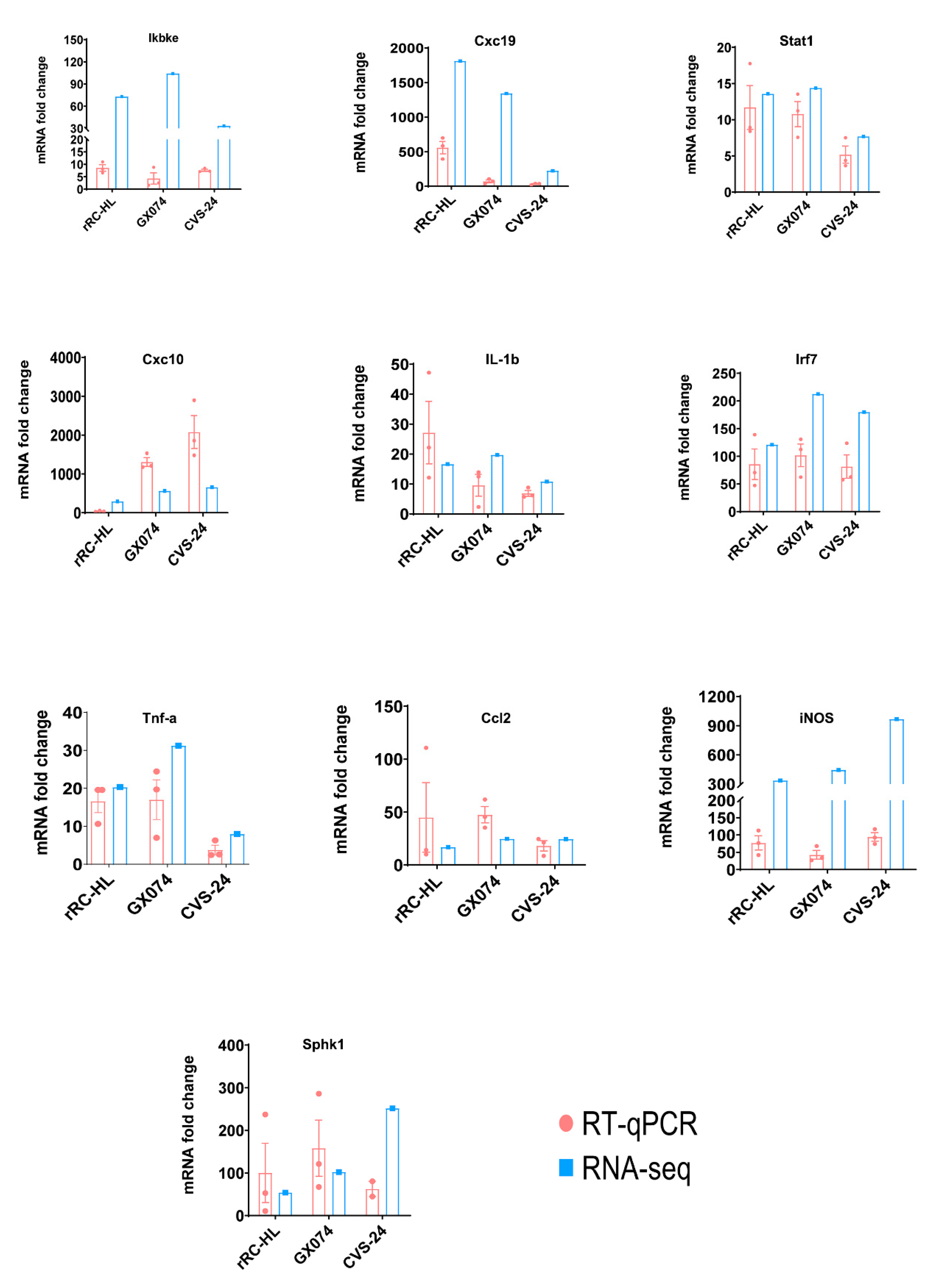 Viruses 15 01223 g004 Viruses 15 01223 g004