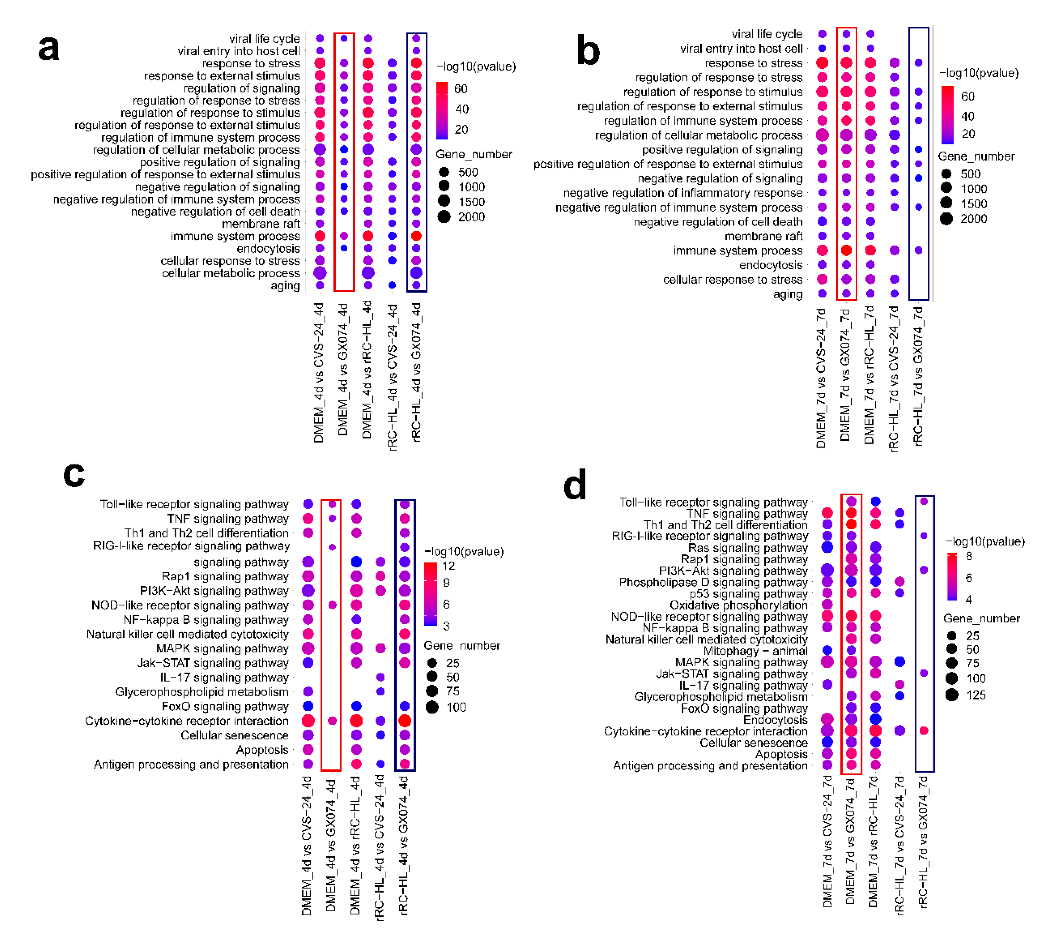 Viruses 15 01223 g005 Viruses 15 01223 g005