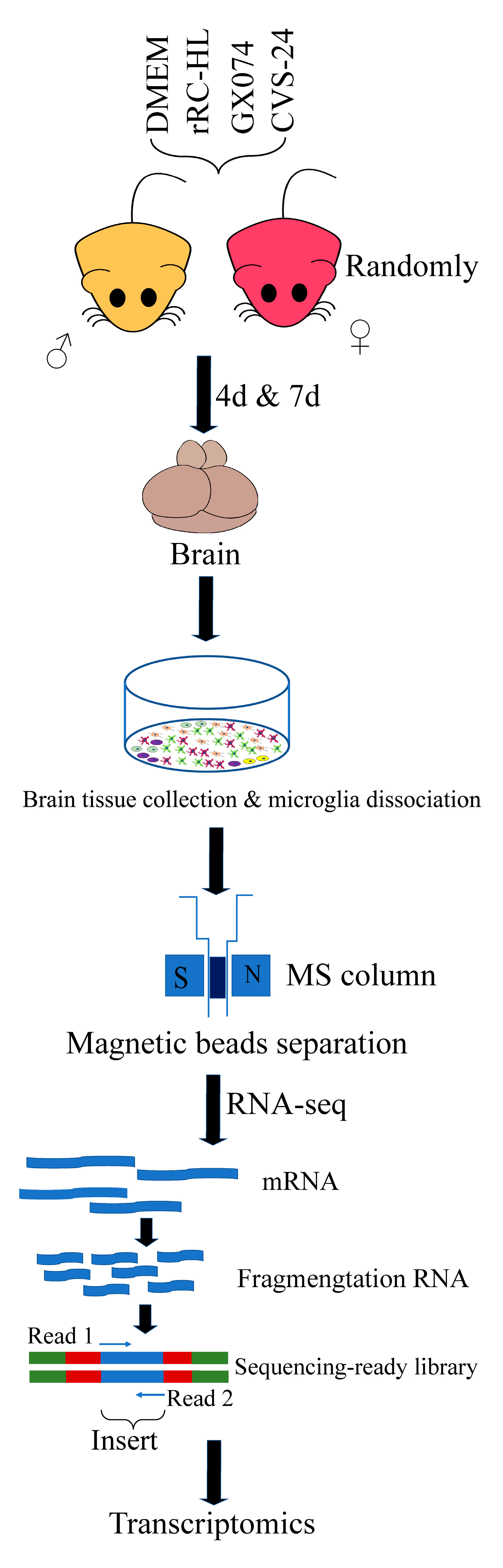 Viruses 15 01223 sch001 Viruses 15 01223 sch001