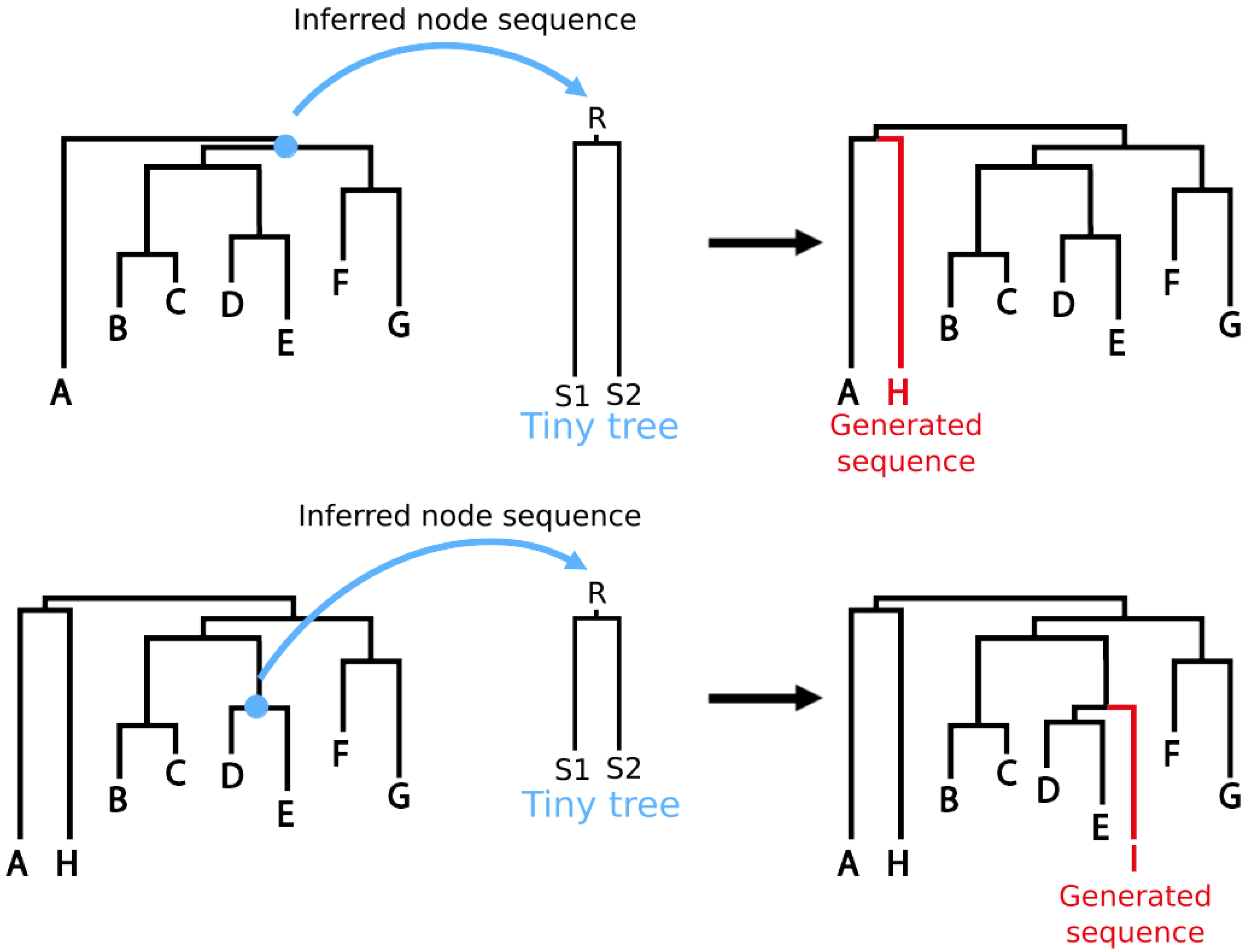 Viruses 15 01227 g003