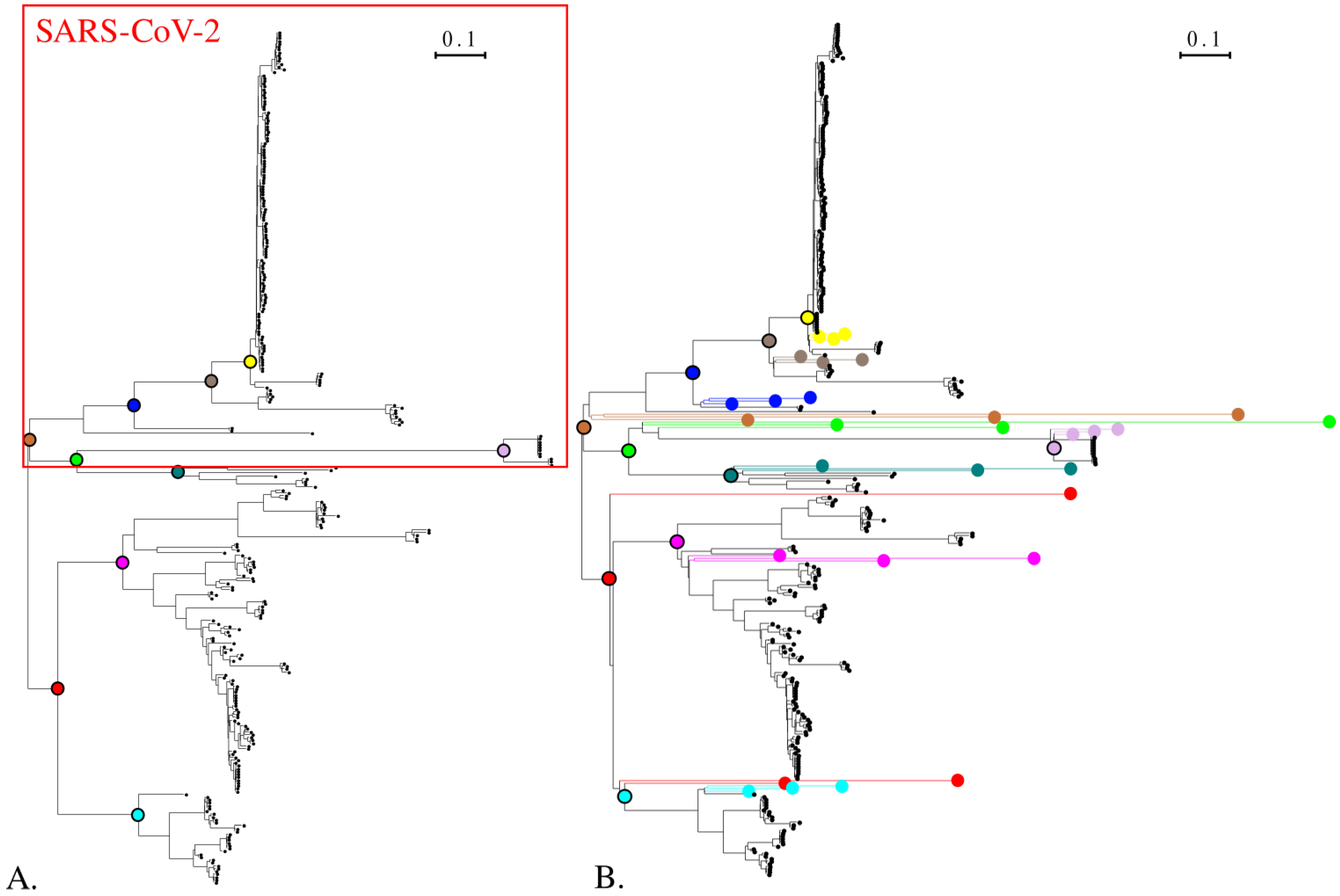 Viruses 15 01227 g004