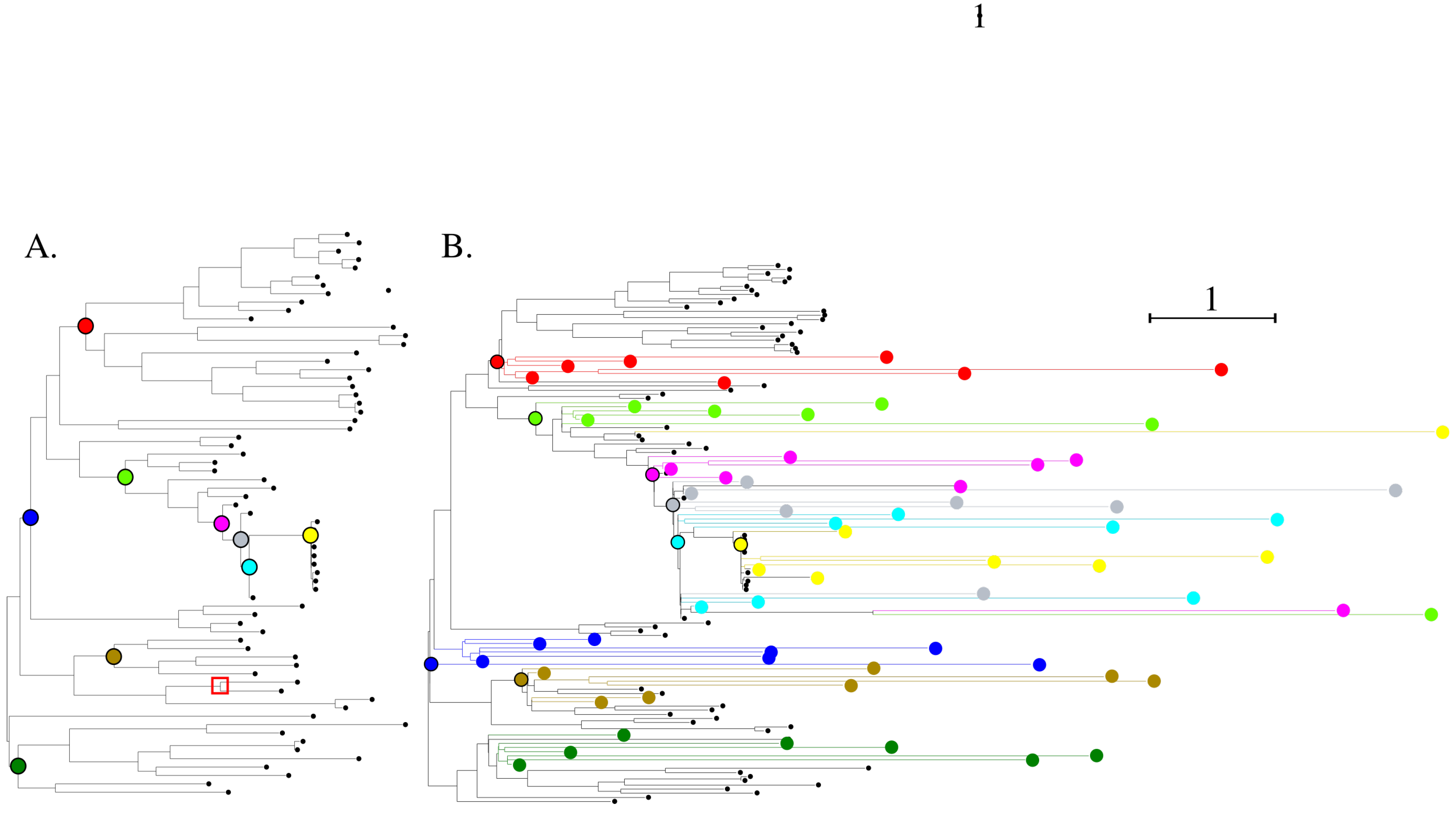 Viruses 15 01227 g005