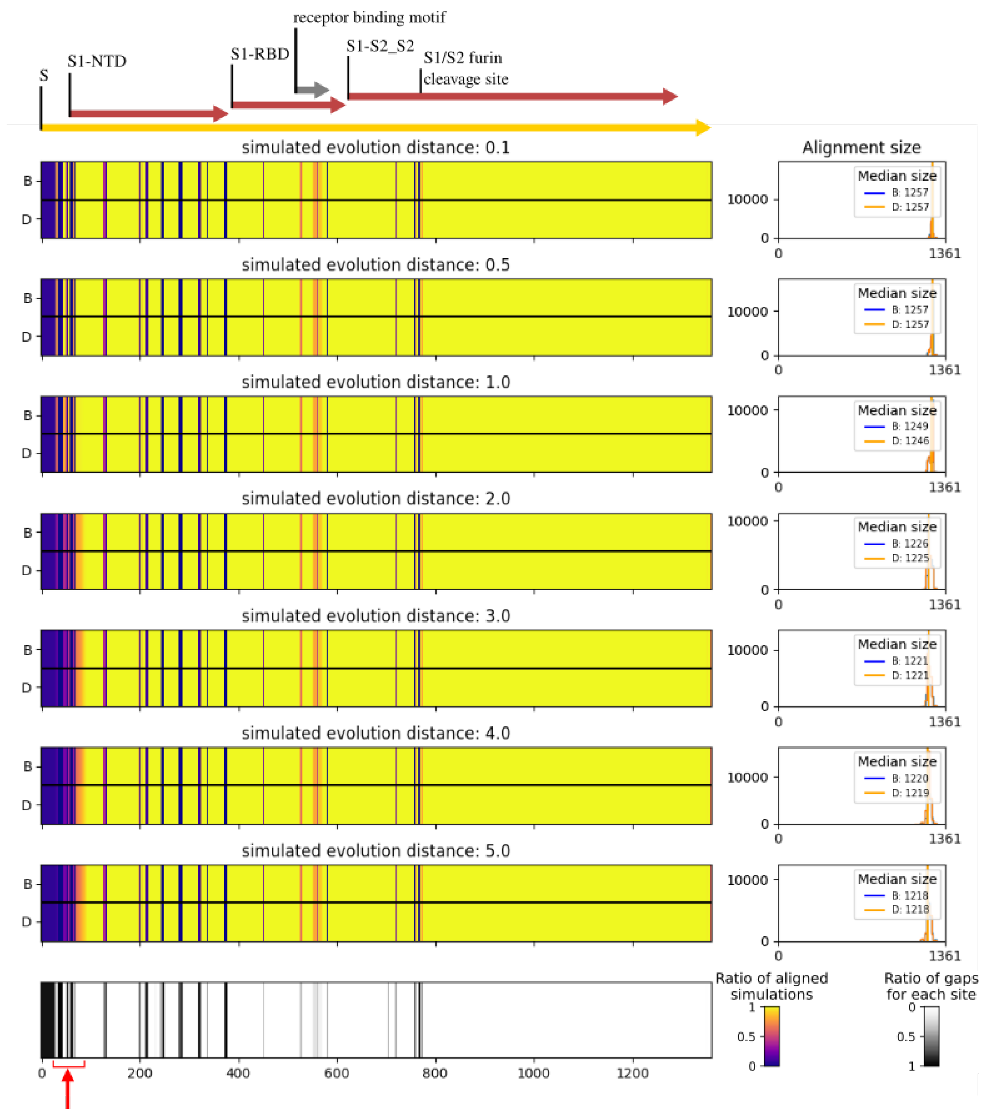 Viruses 15 01227 g008