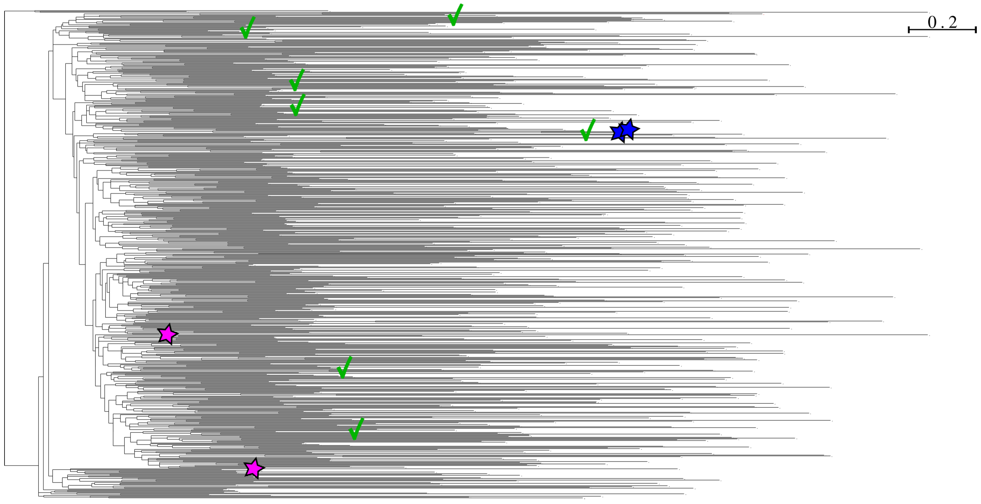 Viruses 15 01227 g009