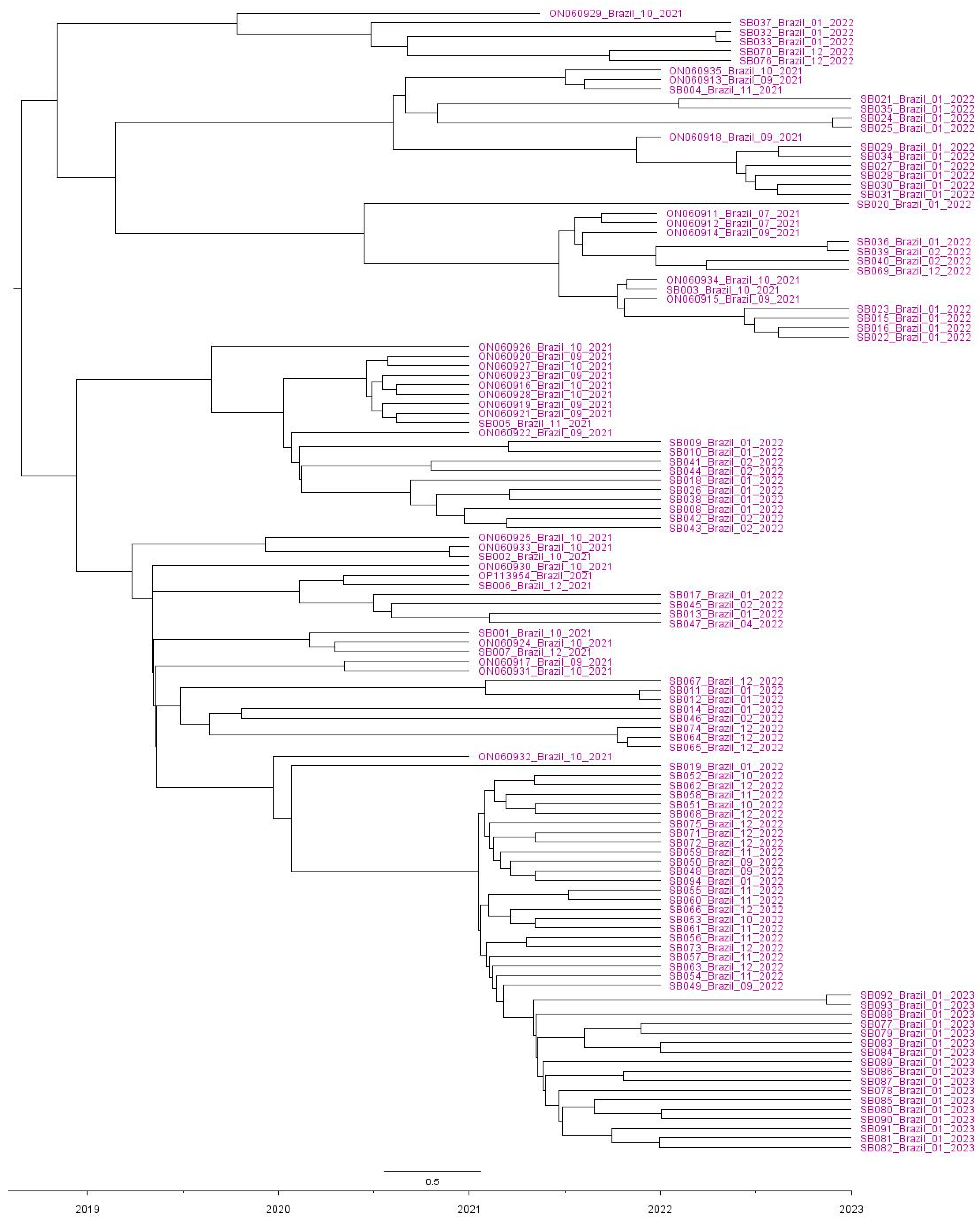 Viruses 15 01229 g002 Viruses 15 01229 g002