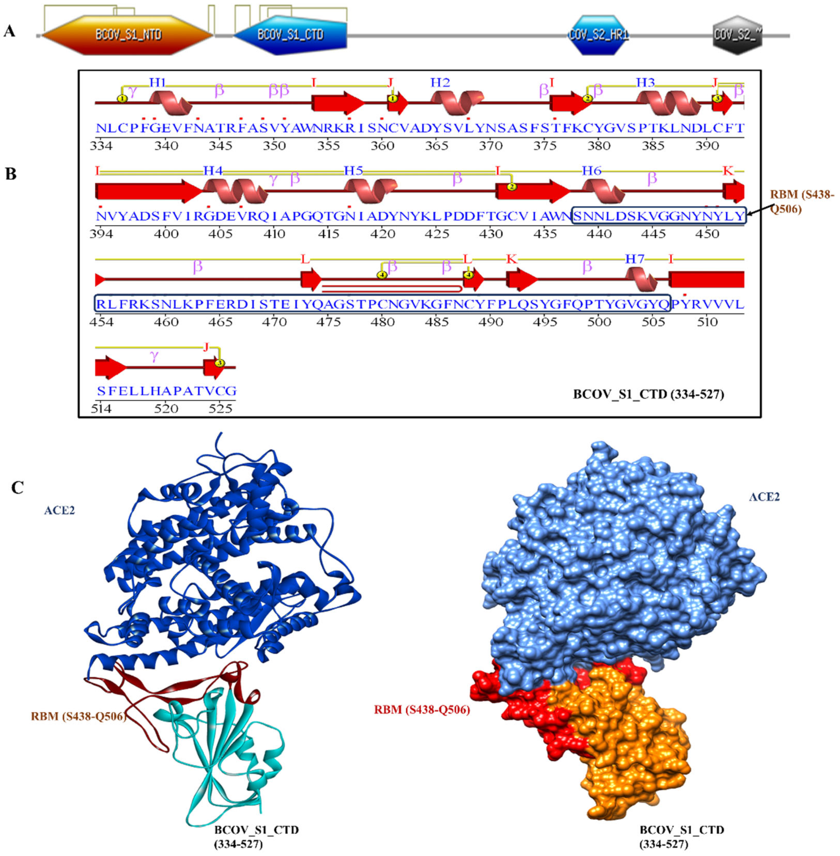 Viruses 15 01234 g001