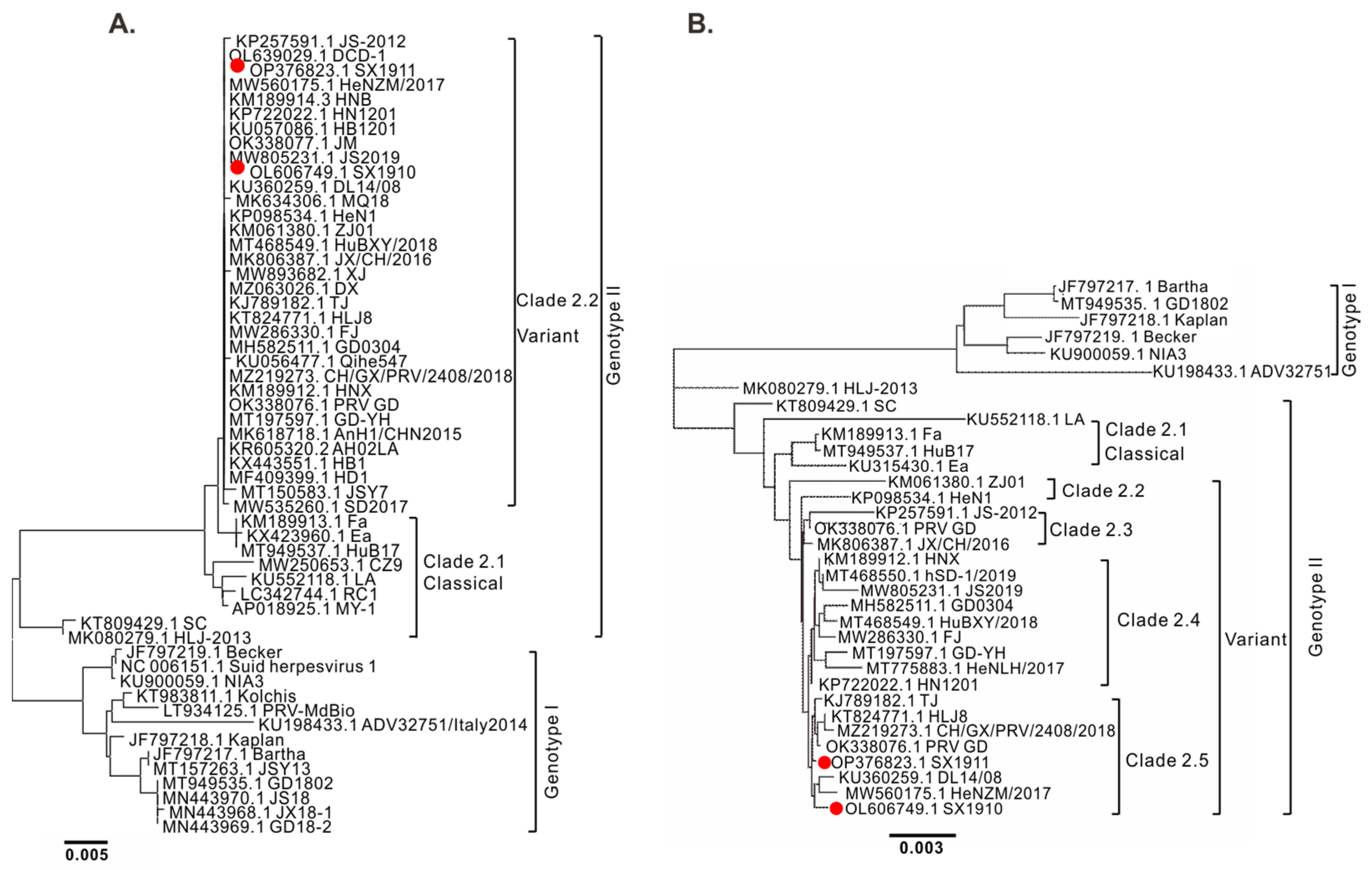 Viruses 15 01237 g002 Viruses 15 01237 g002