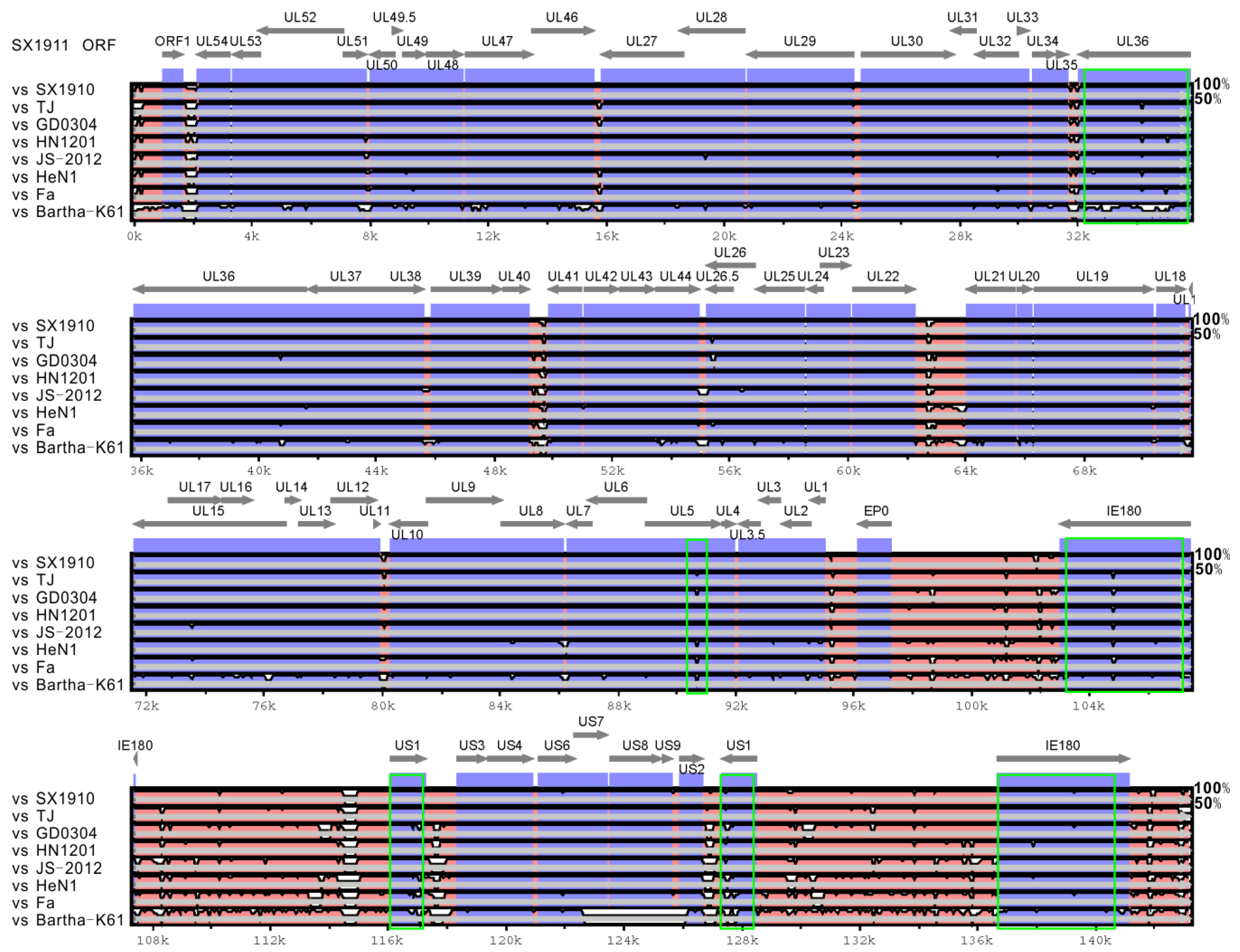 Viruses 15 01237 g003 Viruses 15 01237 g003