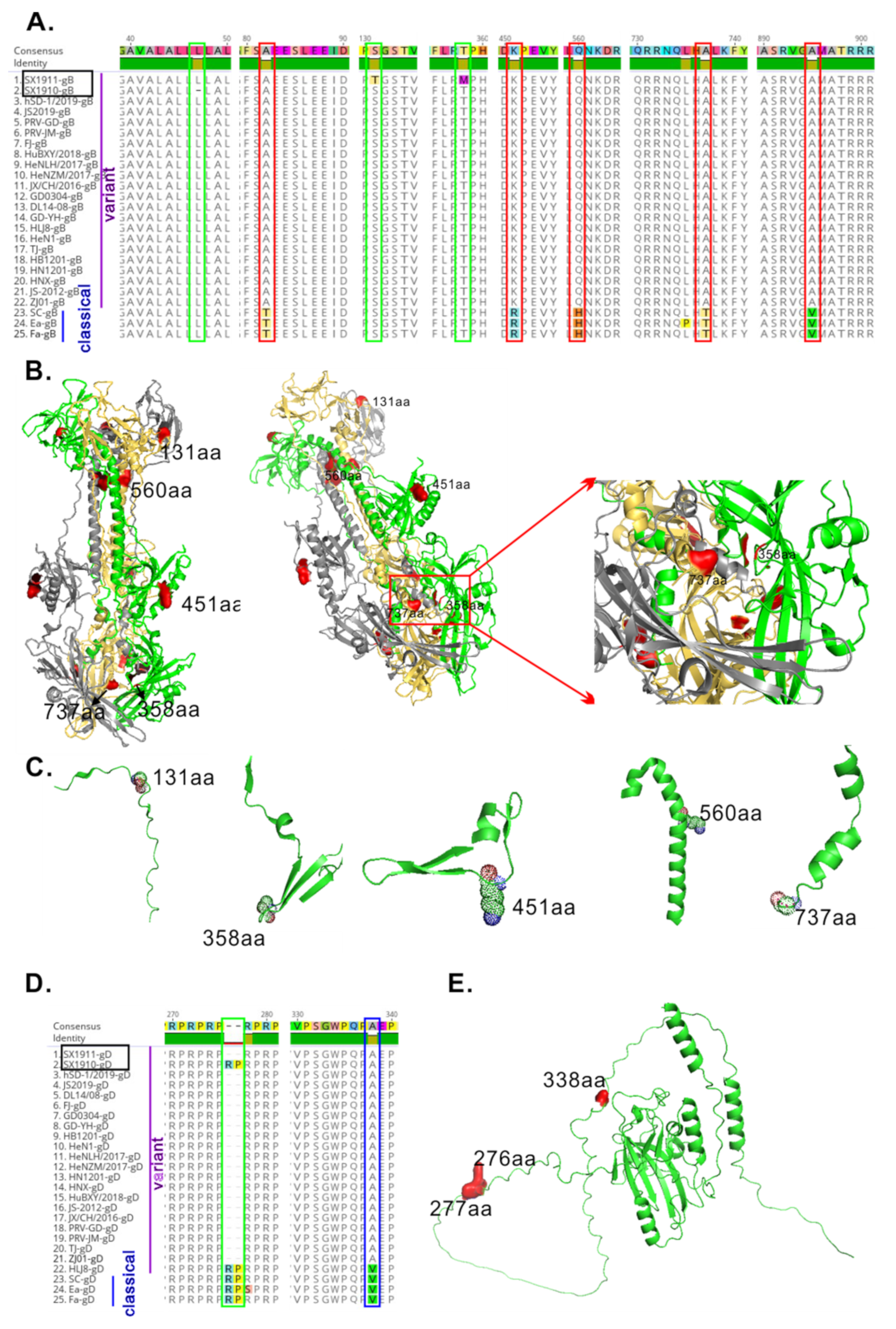Viruses 15 01237 g005 Viruses 15 01237 g005