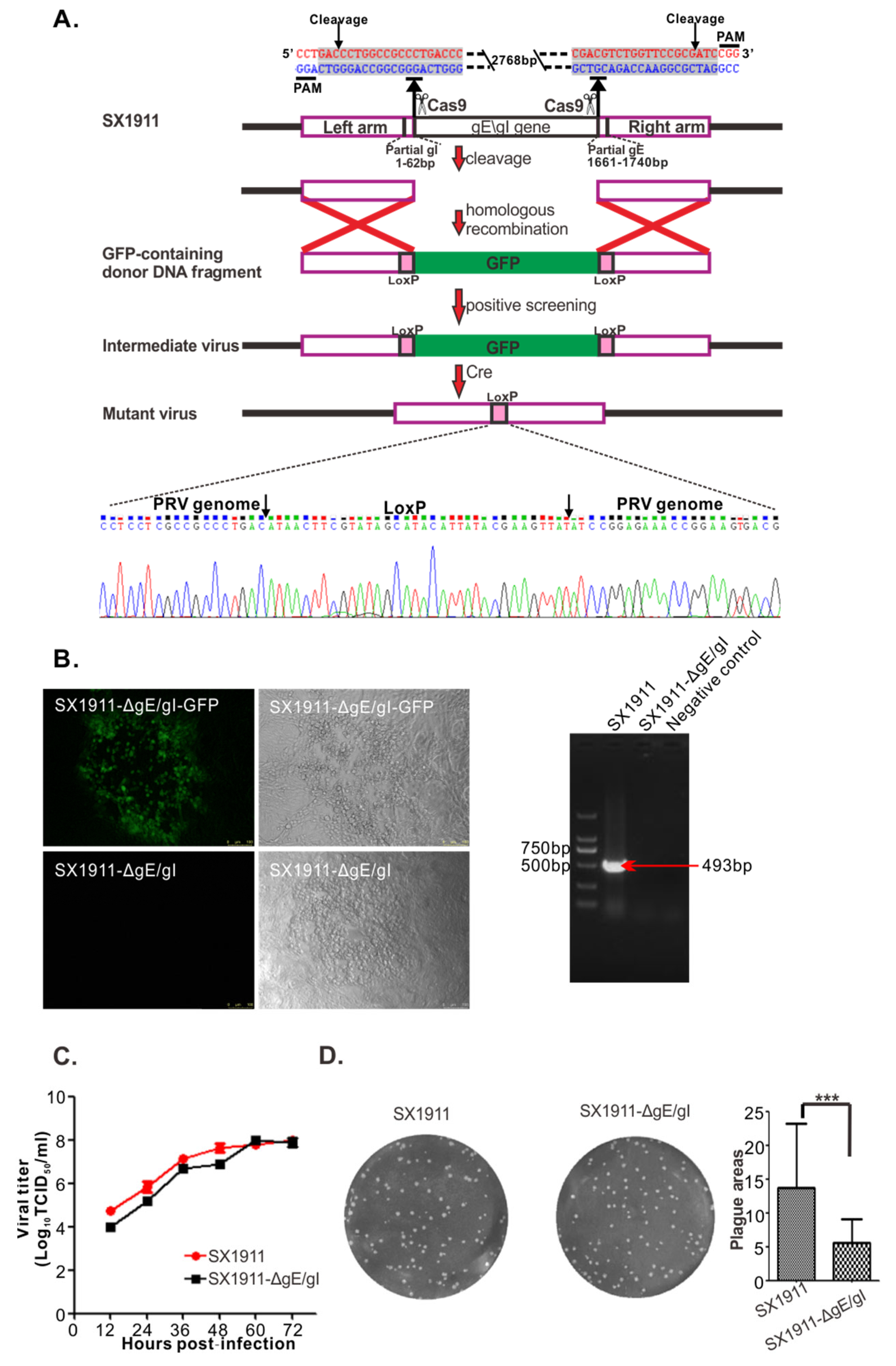 Viruses 15 01237 g006 Viruses 15 01237 g006
