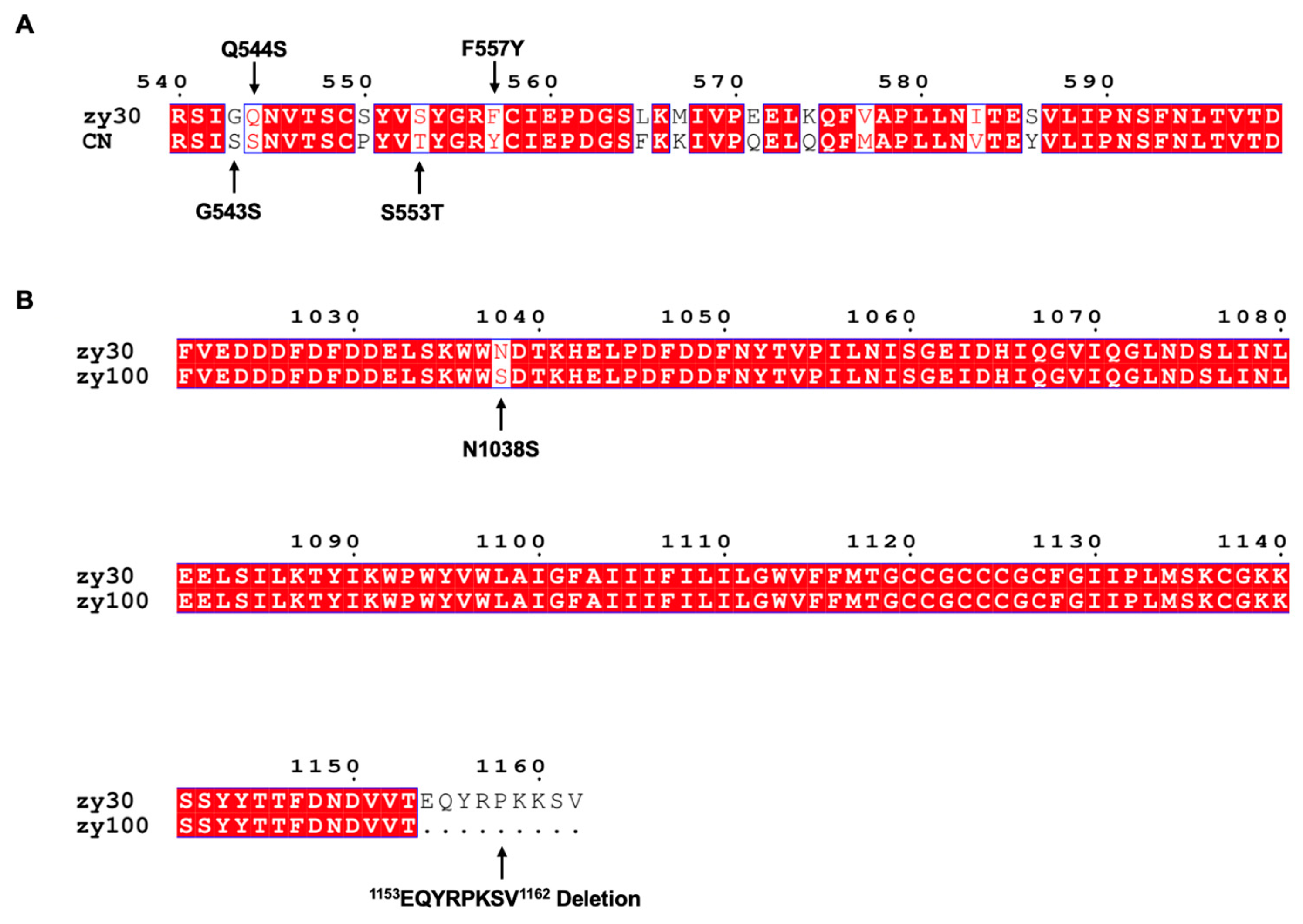 Viruses 15 01246 g001 Viruses 15 01246 g001
